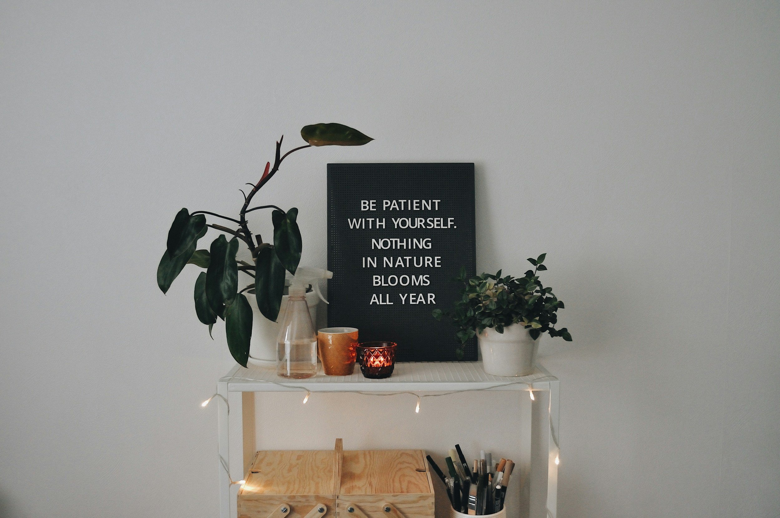 Quote graphic that says “Be patient with yourself. Nothing in nature blooms all year,” supporting January mental health and seasonal mood changes.