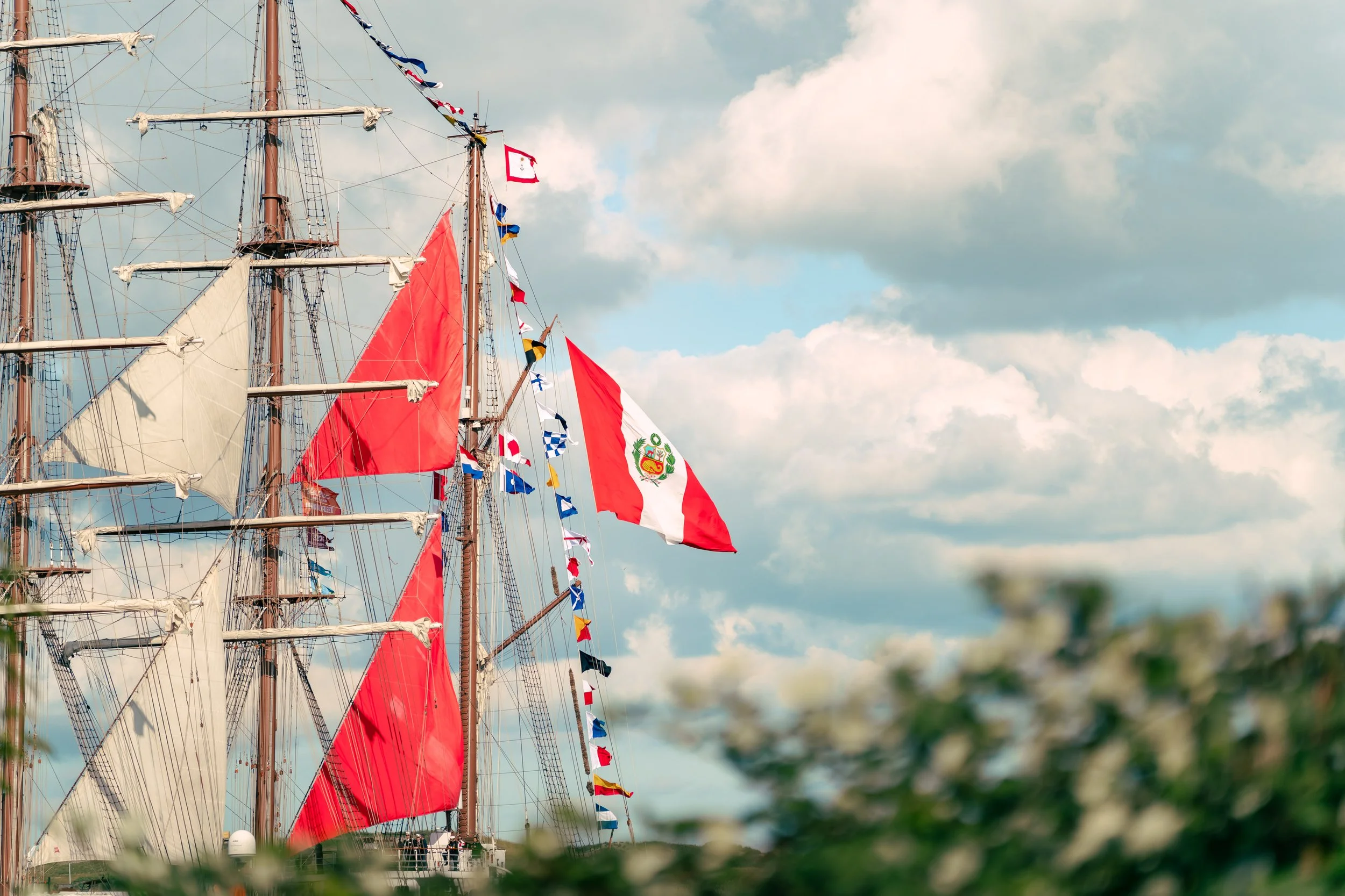 SAILOUT AMSTERDAM 2025-0462.jpg