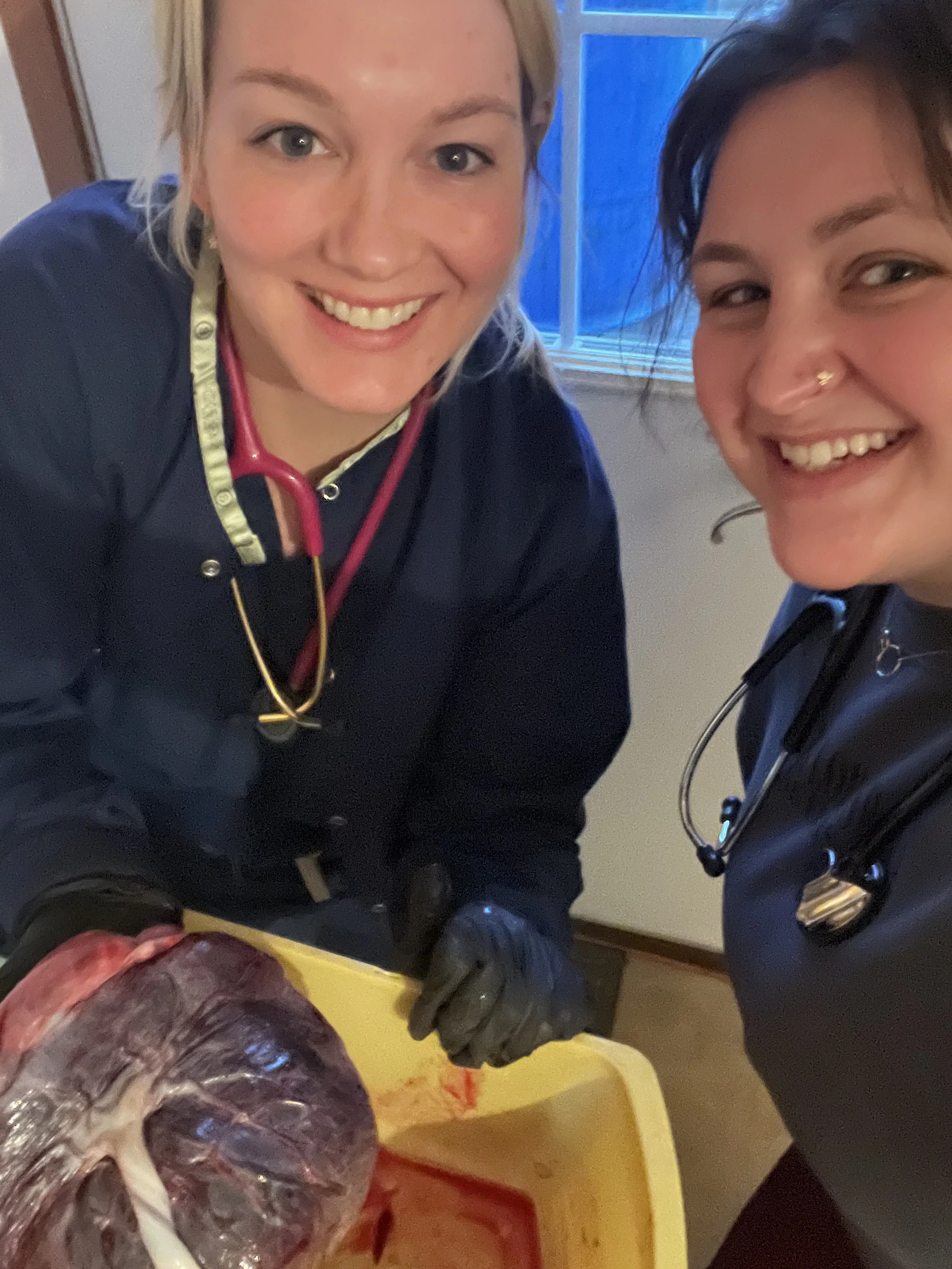 Two women in medical scrubs smiling at the camera, placenta, midwifery, college.