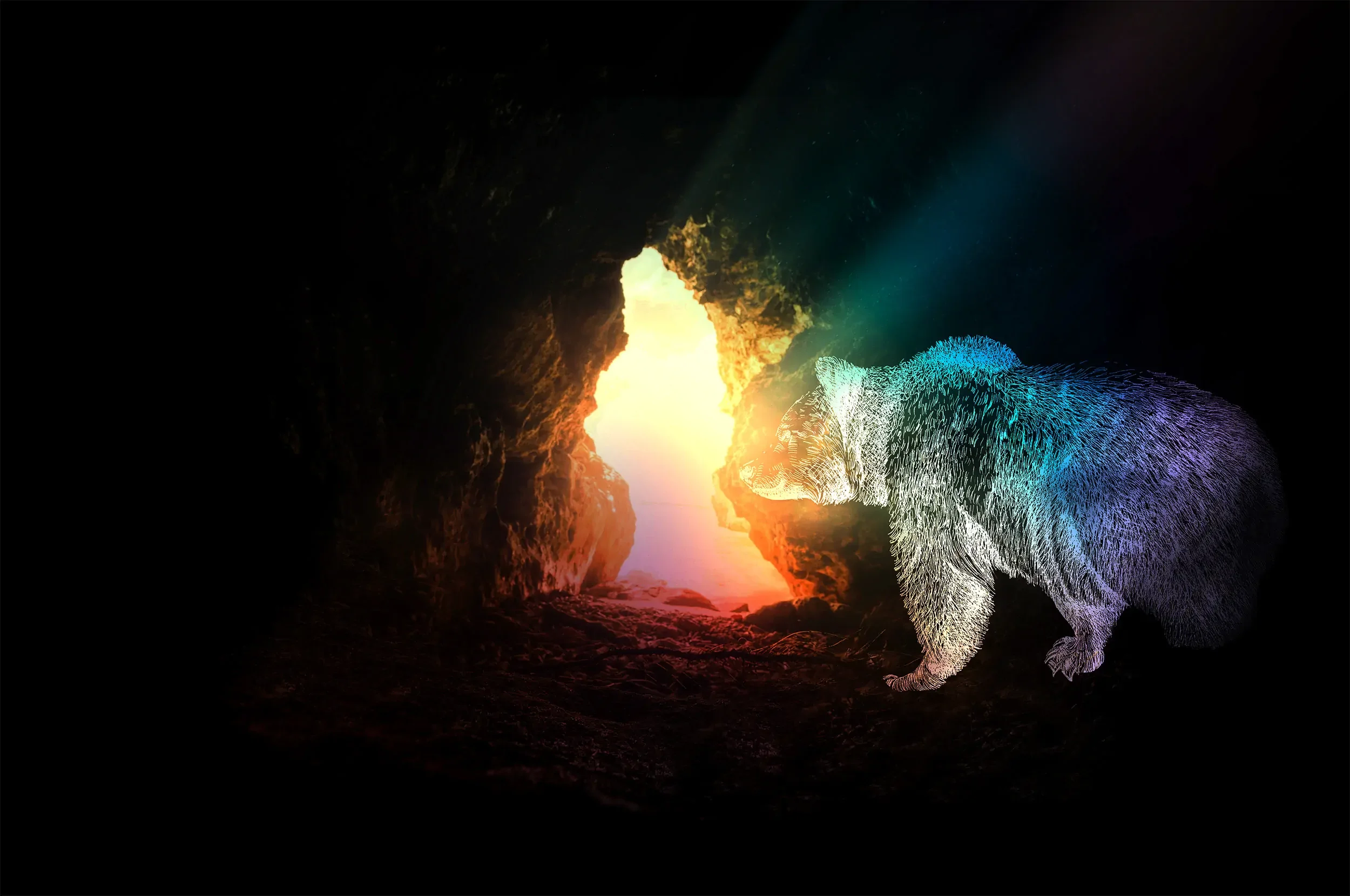 A bear approaches the light streaming into its cave, as a metaphor for emerging and connecting.