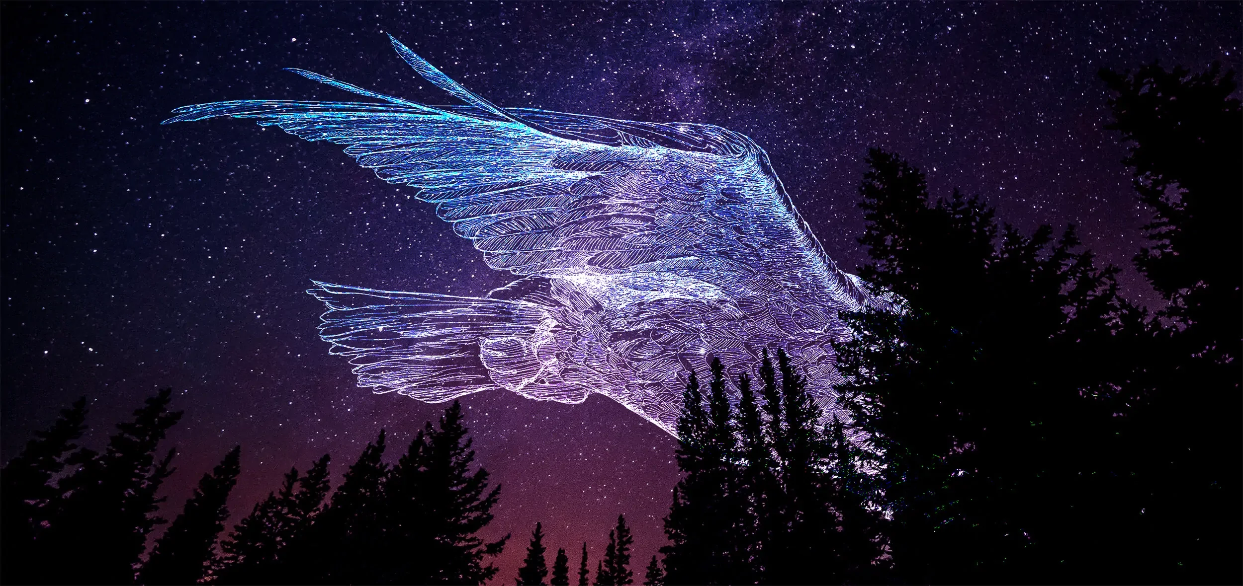 A giant bird flies across a starry night sky, as a metaphor for a deep and transformative approach.