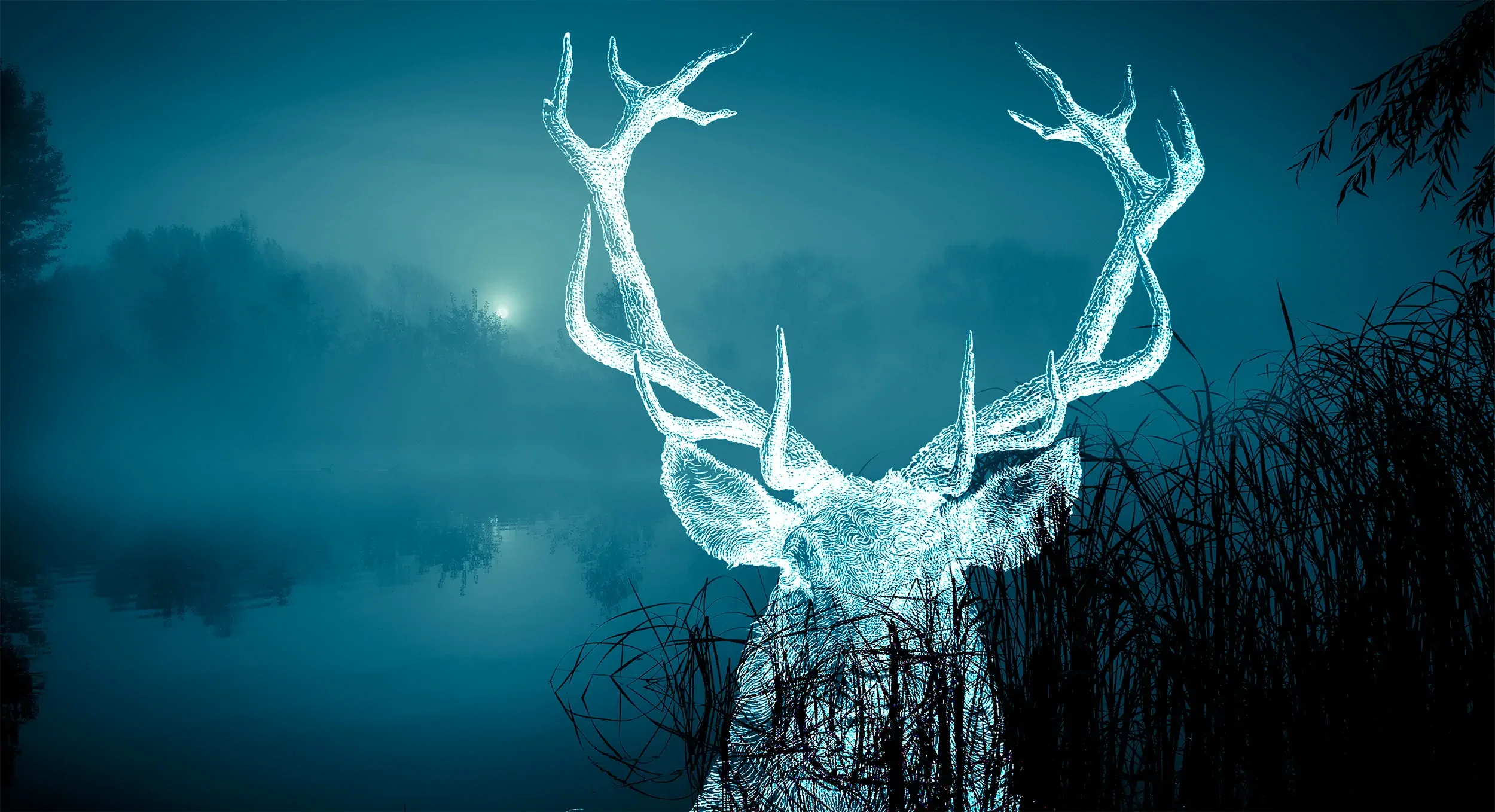 A deer looks out from behind tall lakeside grass, as a metaphor for longing and belonging.