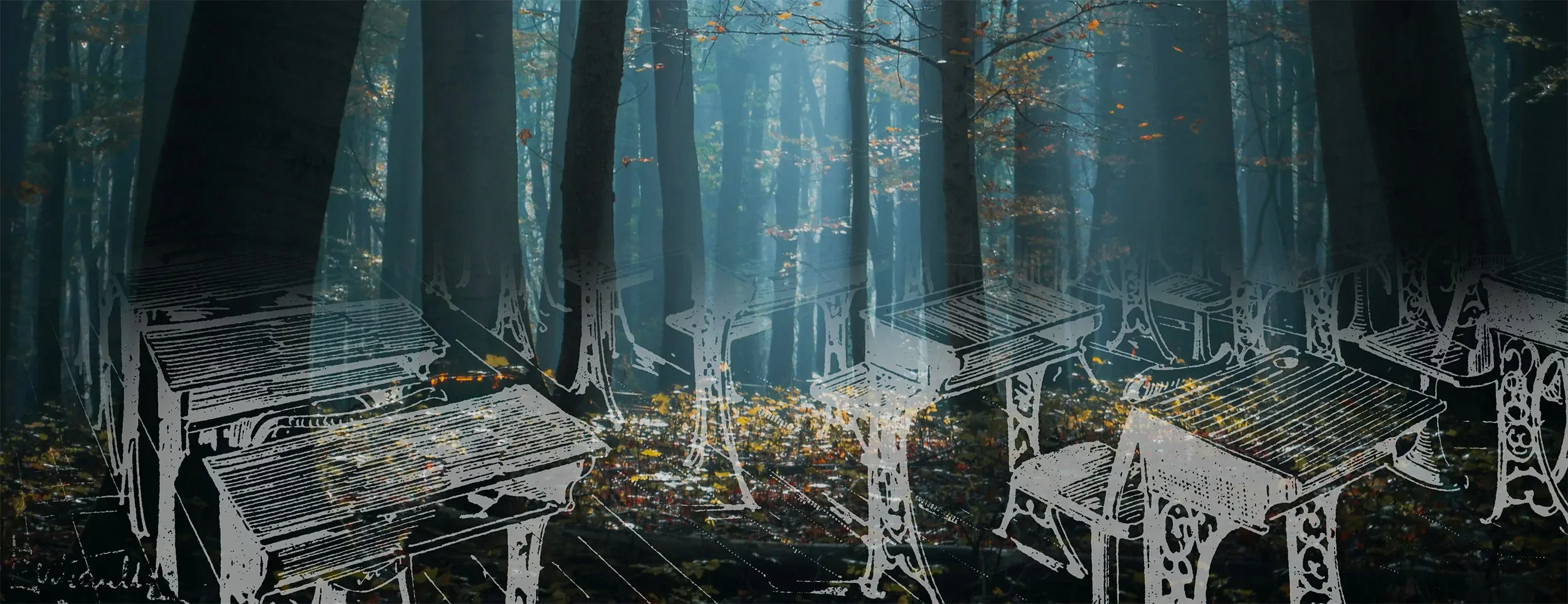 An archival illustration of classroom desks overlays the photograph of a forest, as a metaphor for new ways of teaching climate justice.