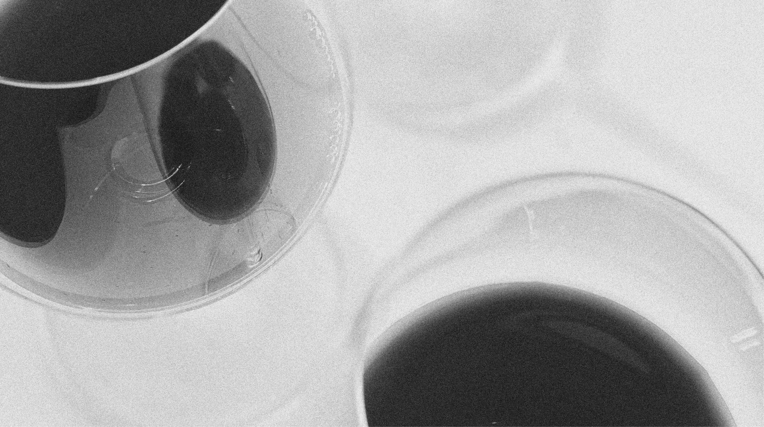 Vino-06.png