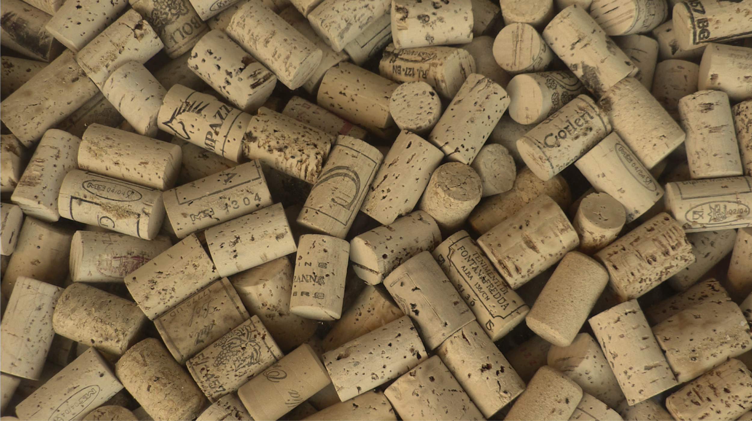 Vino-07.png