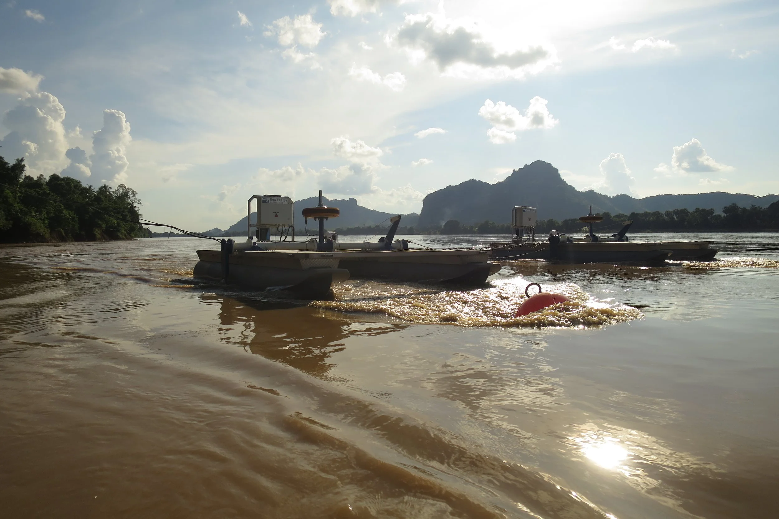 Myanmar Micro-Array.JPG
