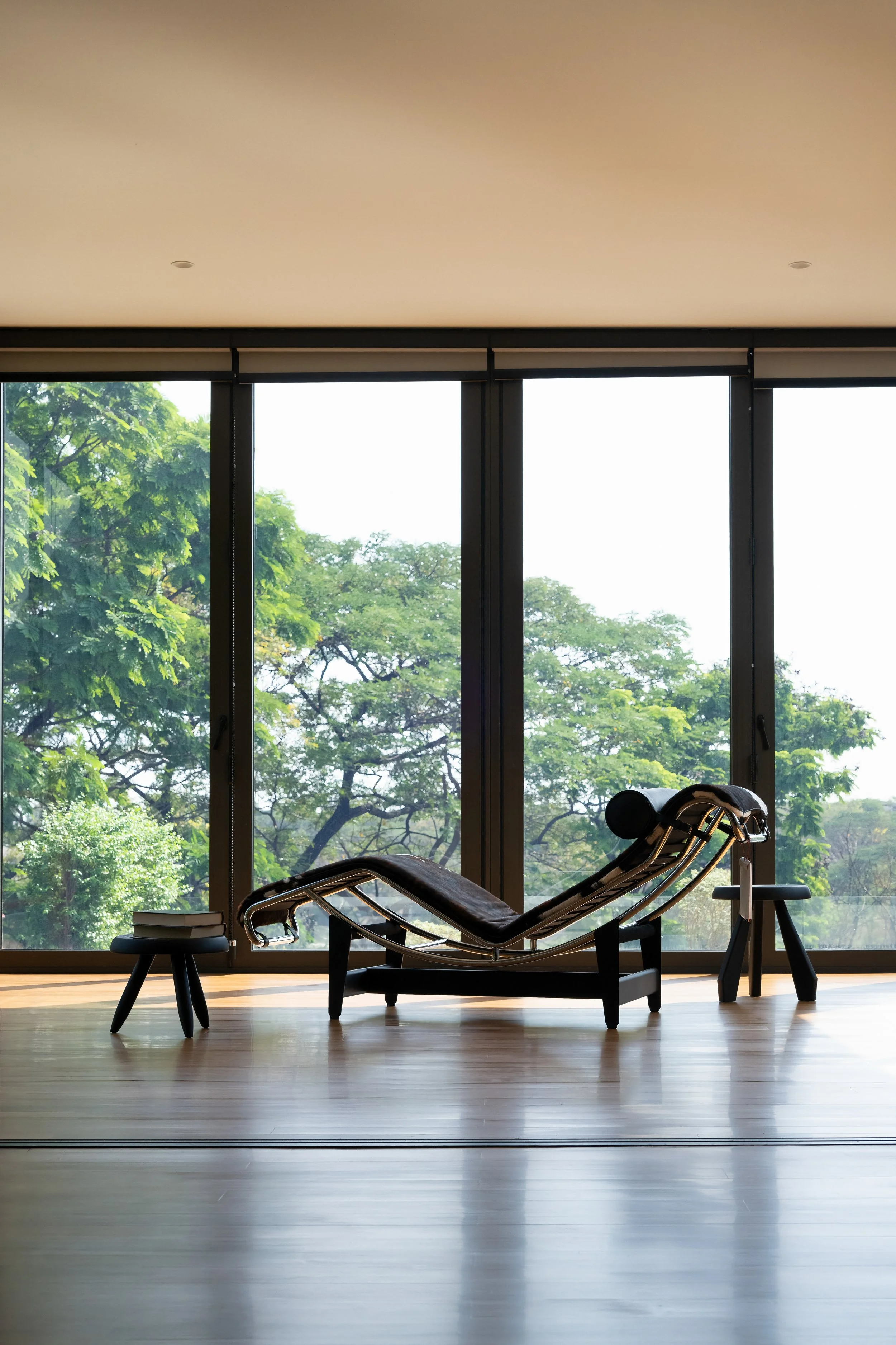 Prime nature-7 (1).jpg