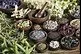 Reset & Radiate at Brush & Bloom