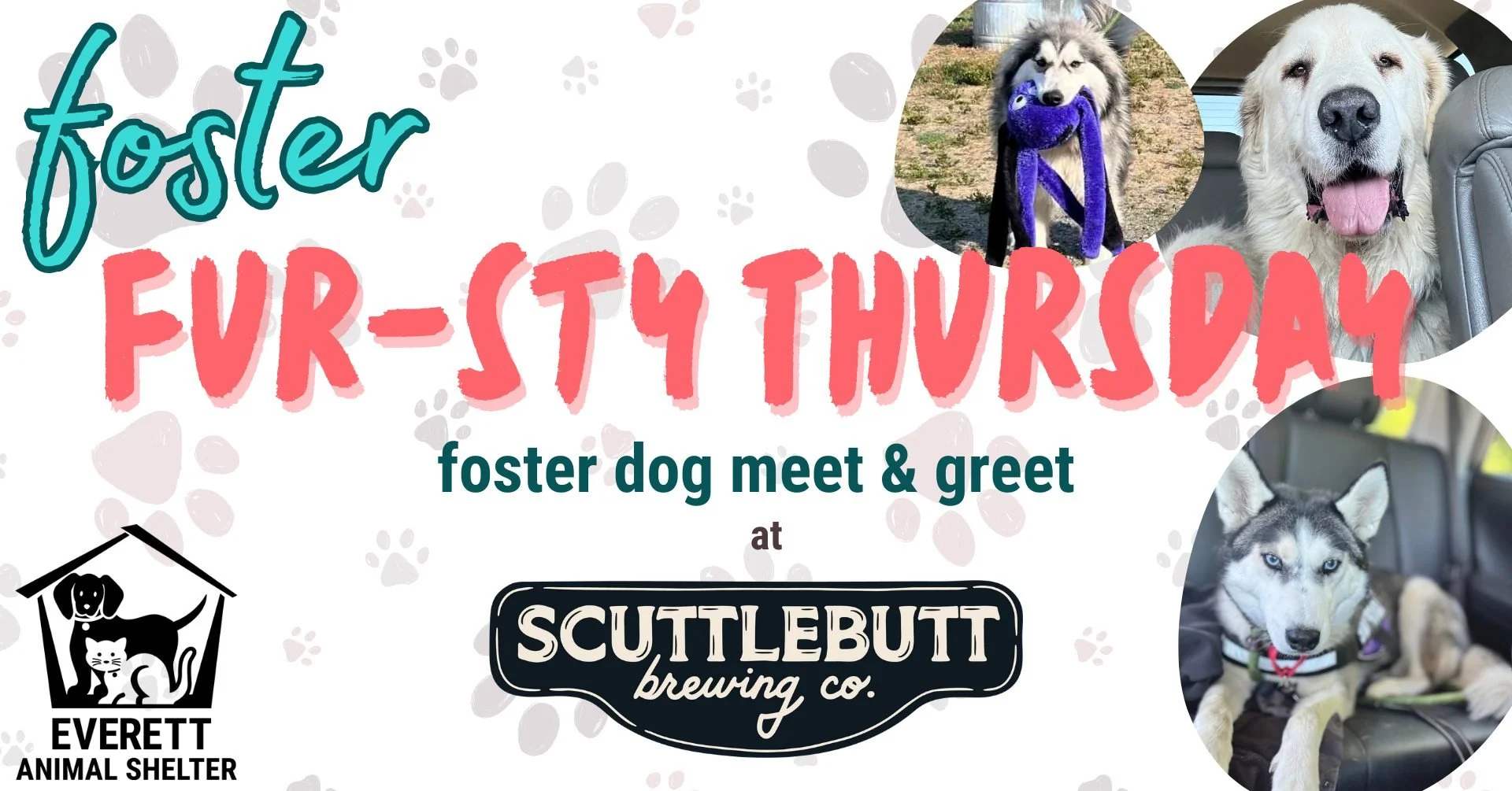  Foster Fur-sty Thursdays at Scuttlebutt Taproom