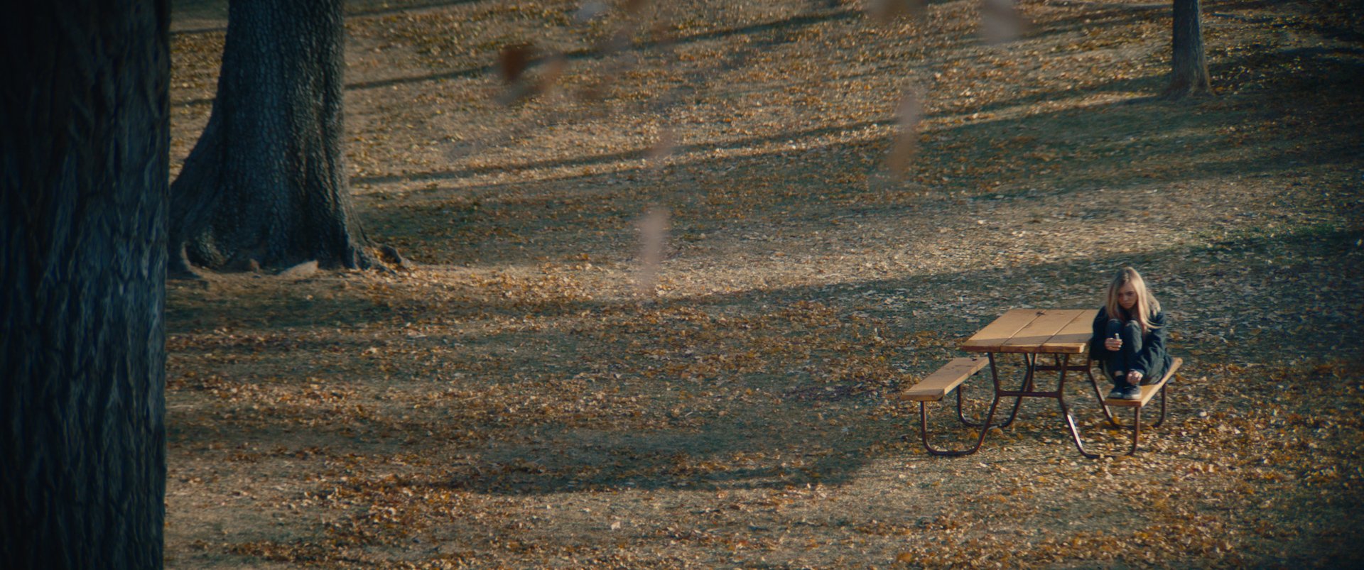 A Picnic Table, At Dusk Still 5.jpg