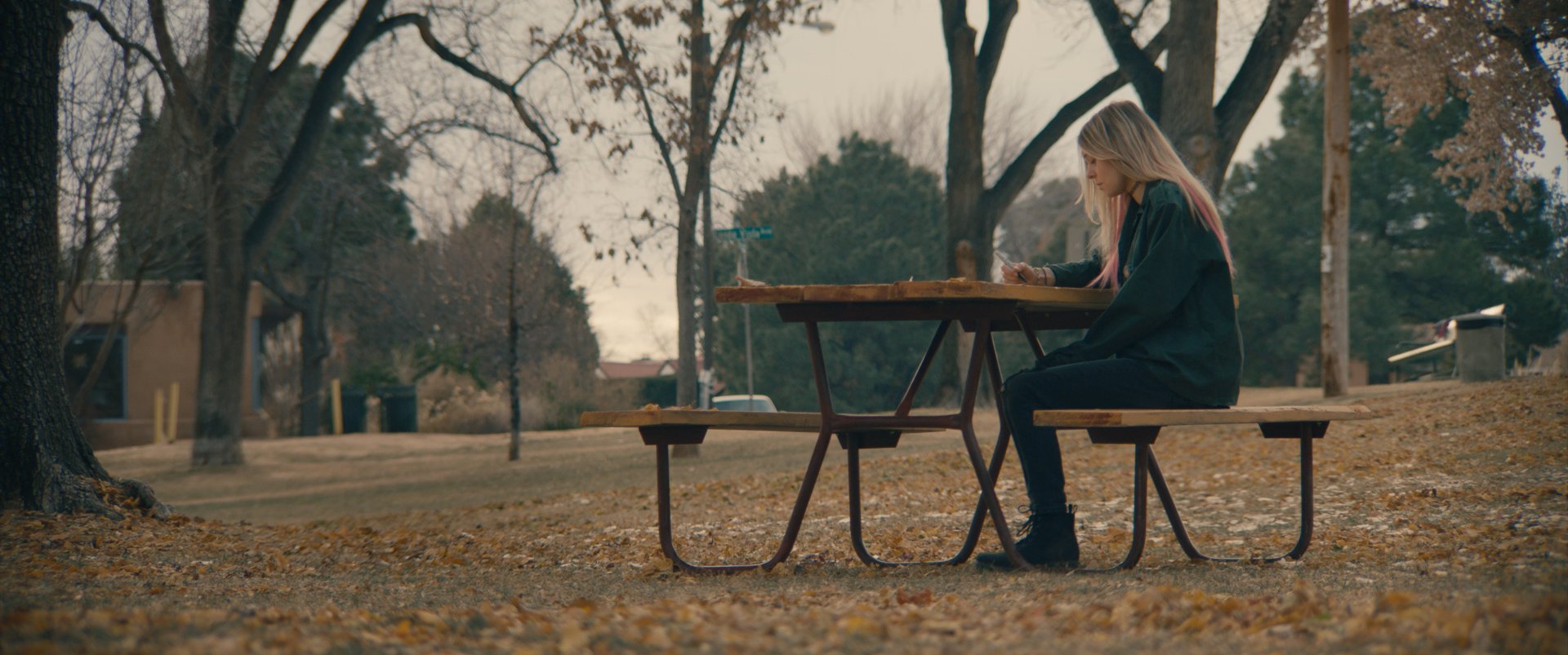 A Picnic Table, At Dusk Still 9.jpg