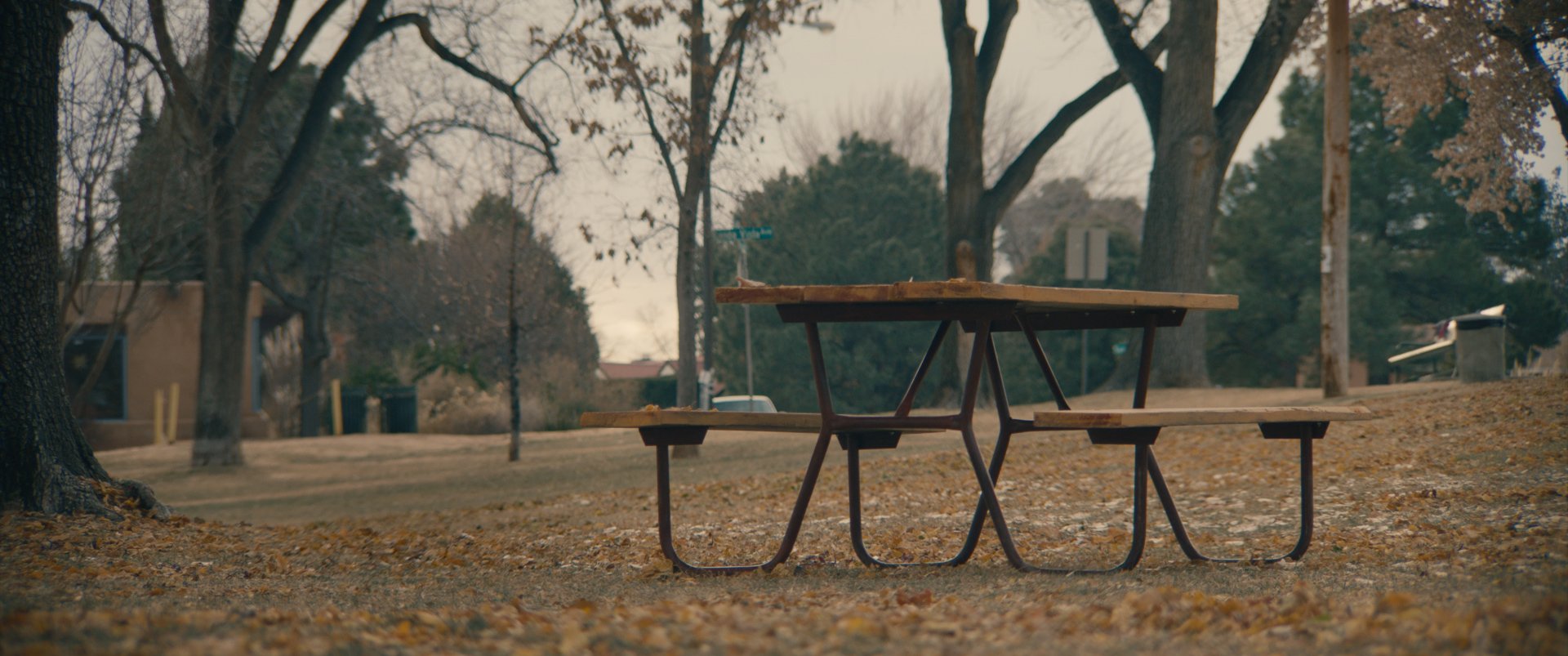 A Picnic Table, At Dusk Still 12.jpg