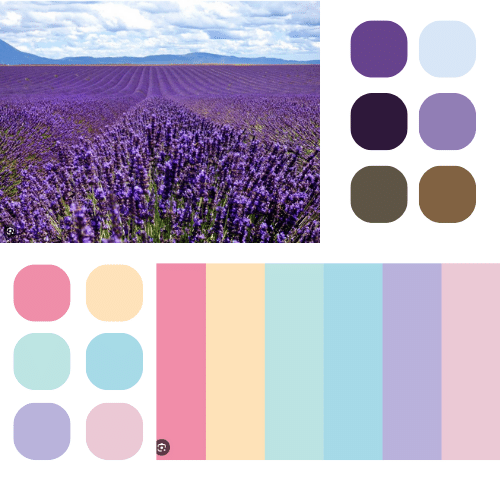 Inspiration from a few of client's favourite colours