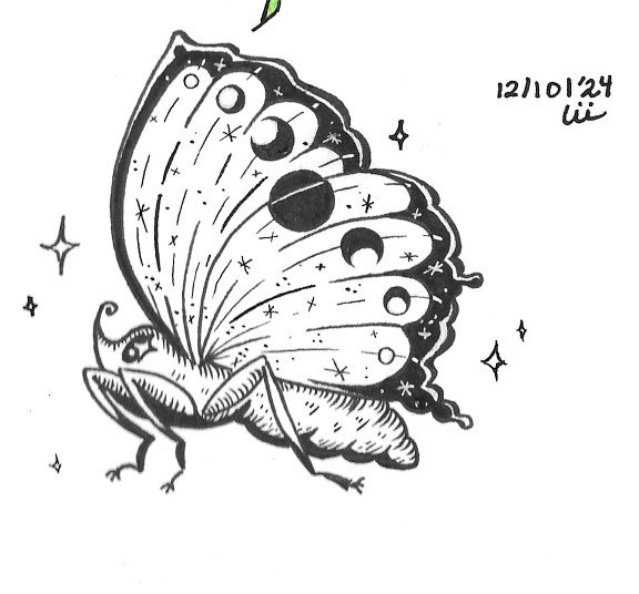 Moon Moth.jpg