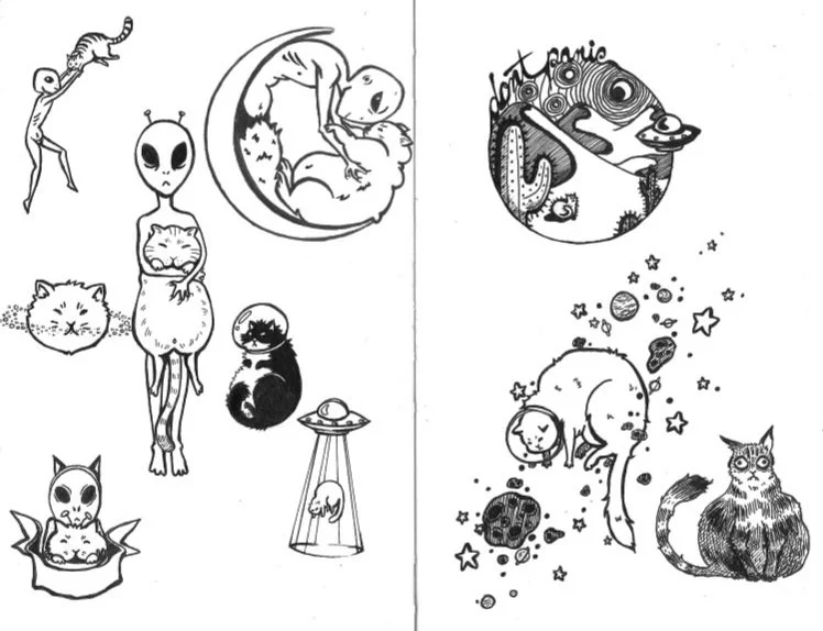 Cat n Aliens.jpg