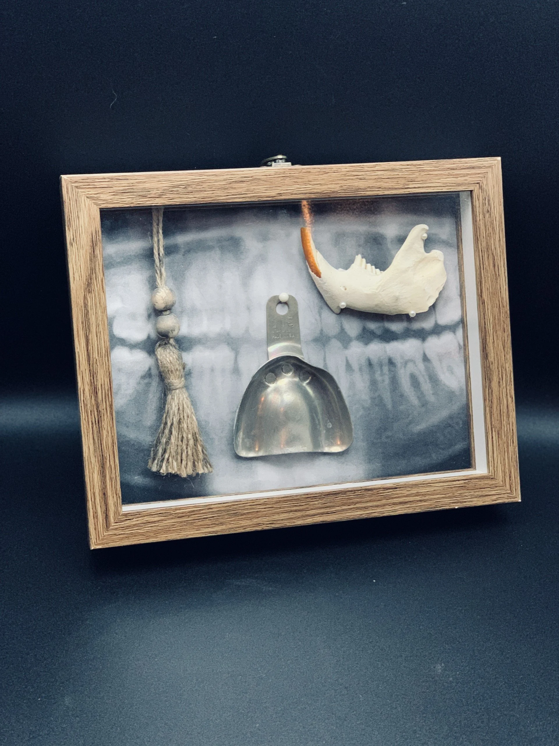 DENTAL SHADOW BOX