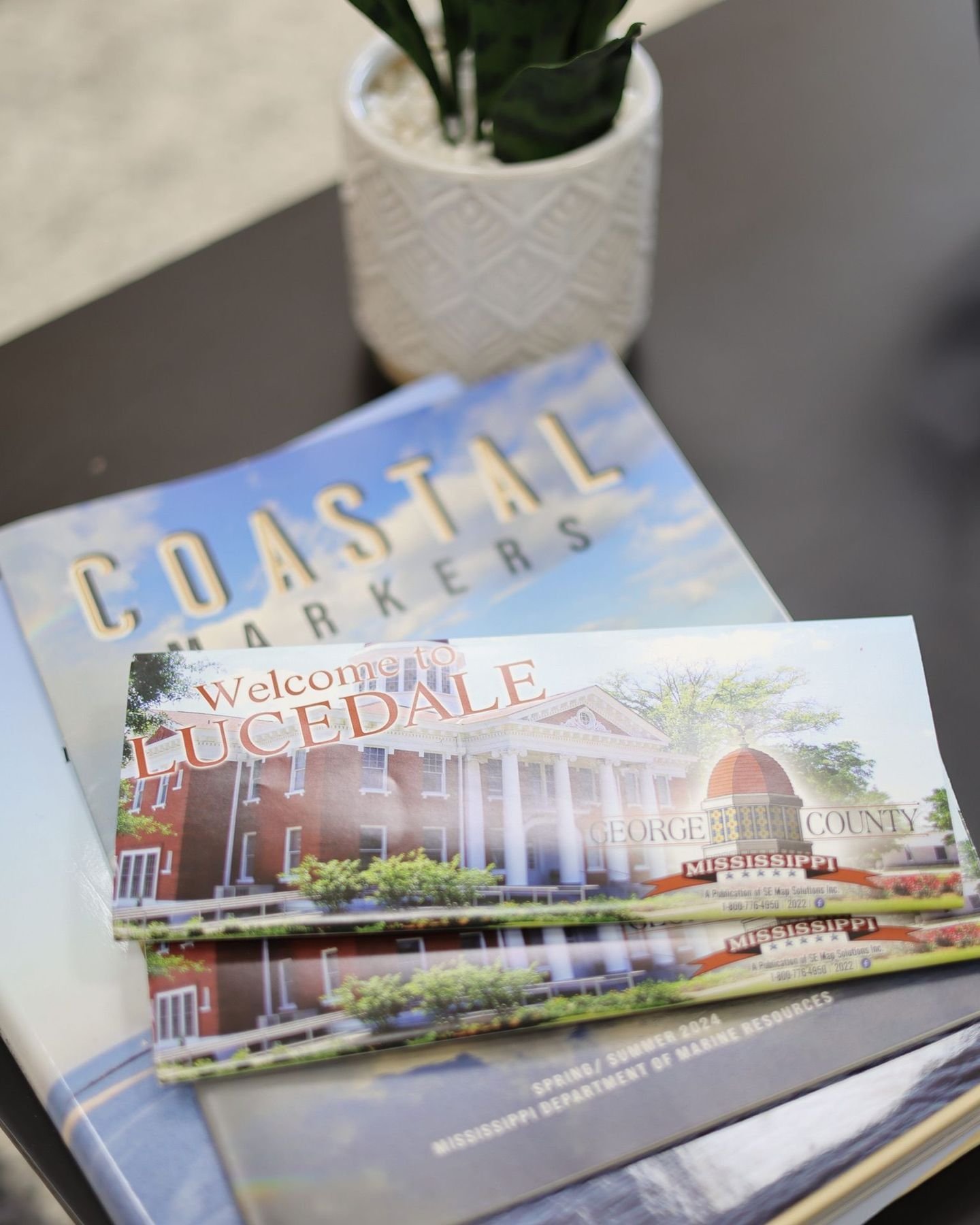 Proud to serve Lucedale and George County with dependable title work and smooth real estate closings. Pine Belt Land Title is here to help you close with confidence.
#PineBeltLandTitle #LucedaleMS #GeorgeCountyMS #MississippiTitleCompany