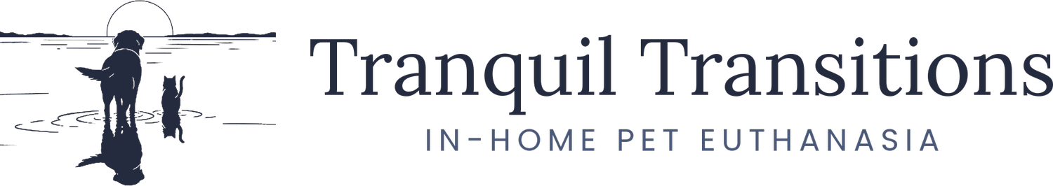 Tranquil Transitions