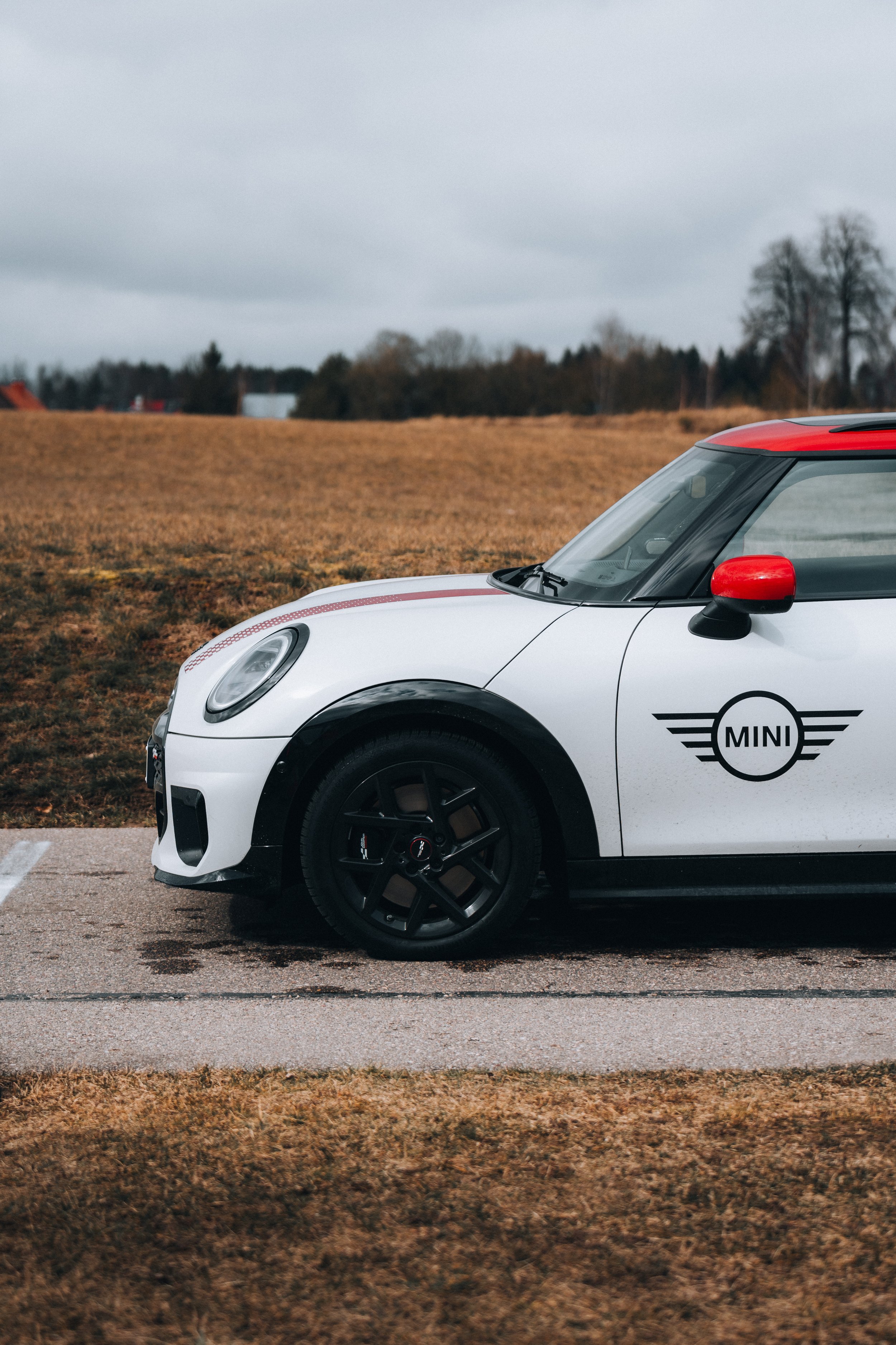 A white Mini Cooper with black wheels and red accents parked on a concrete surface next to a grassy area with overcast sky in the background.