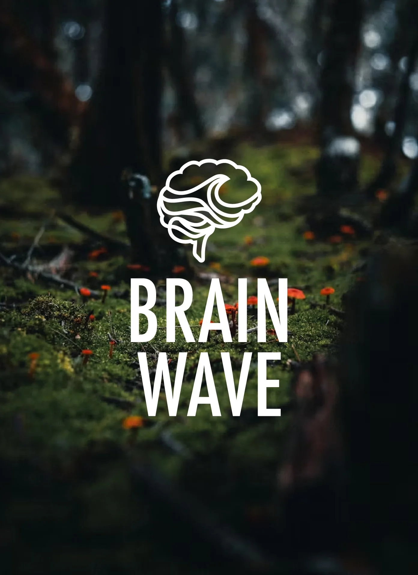 BrainWave_fulllogo.jpg