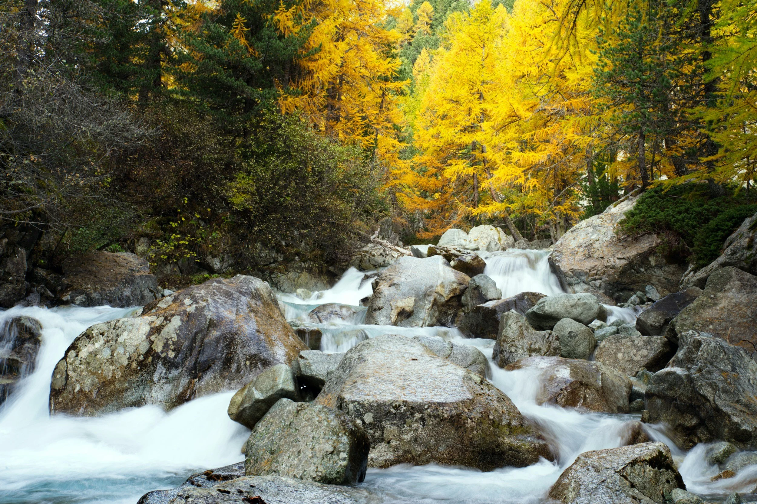 What Are We Doing Here? Five Answers (+ Mine)