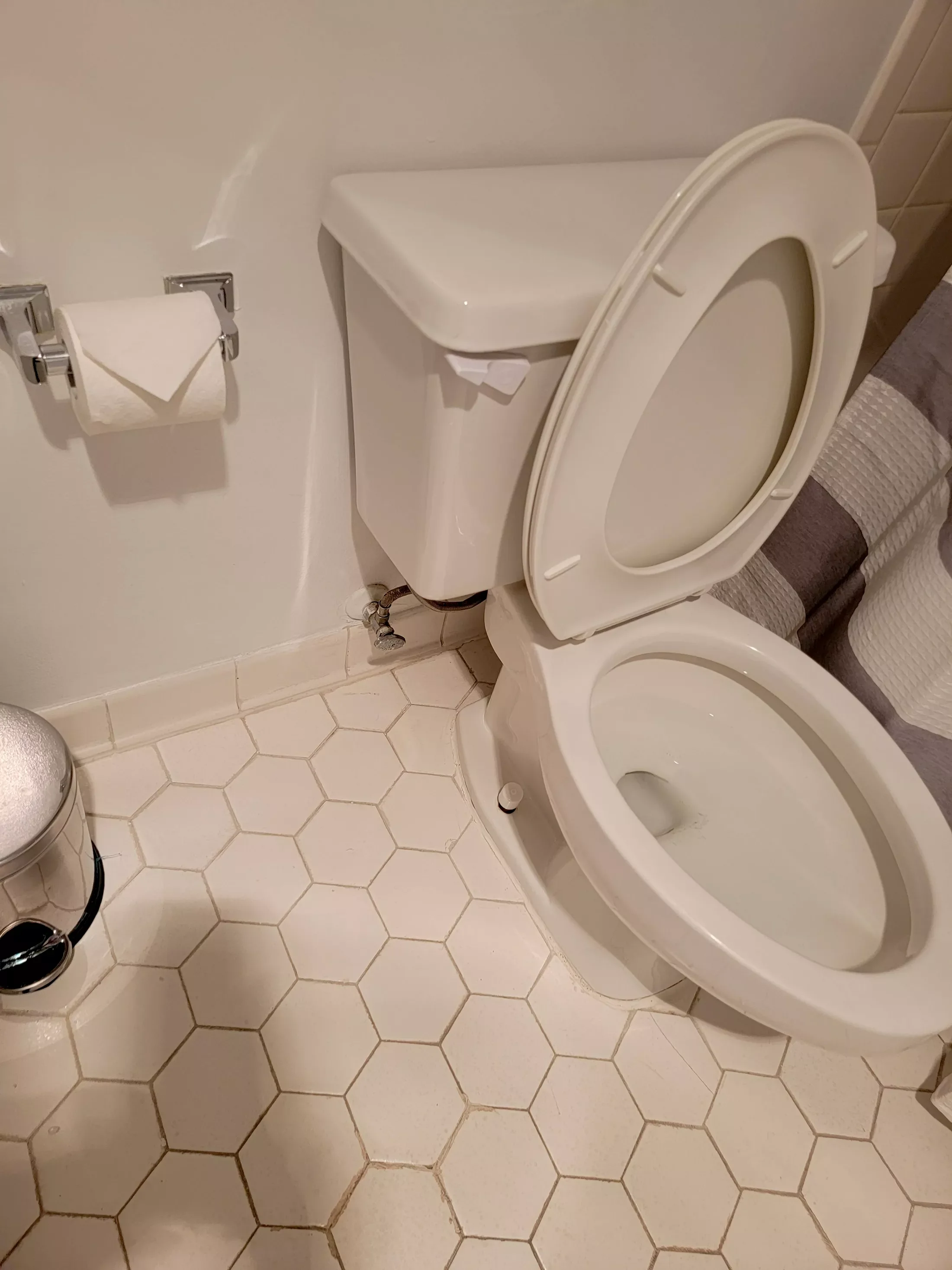 Toilet with open lid in a bathroom, hexagonal floor tiles, mounted toilet paper roll, small trash can, shower curtain visible on the right.