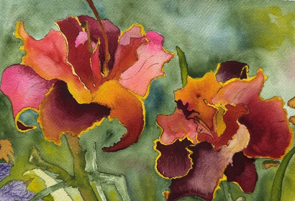 Orchids
