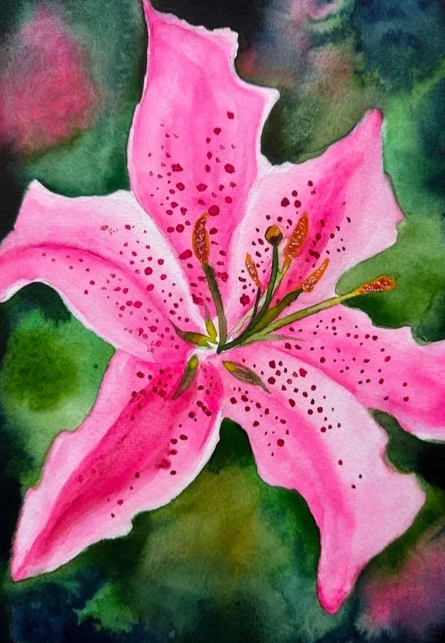 Pink Star Lily