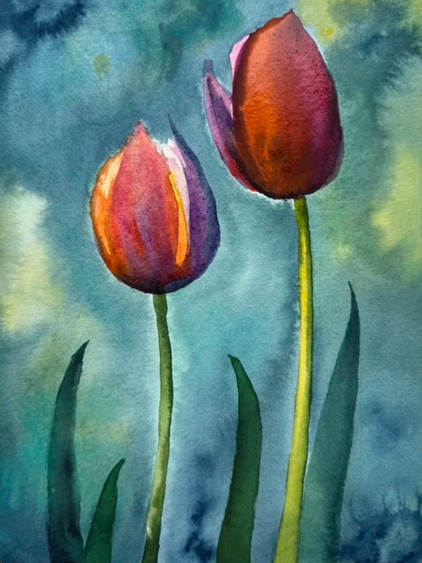 Tulips