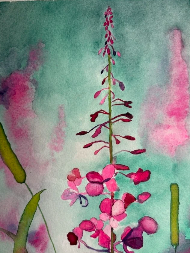 Fireweed