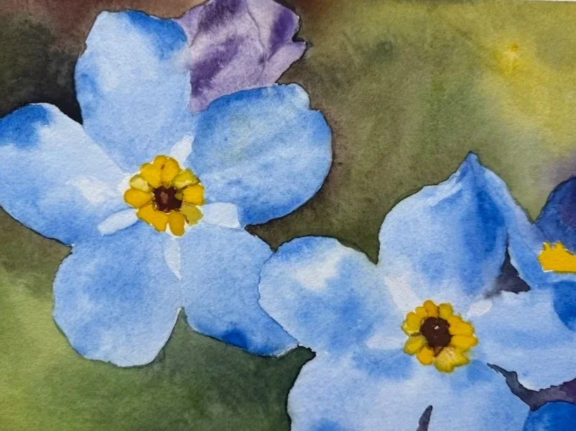 Forget Me Nots