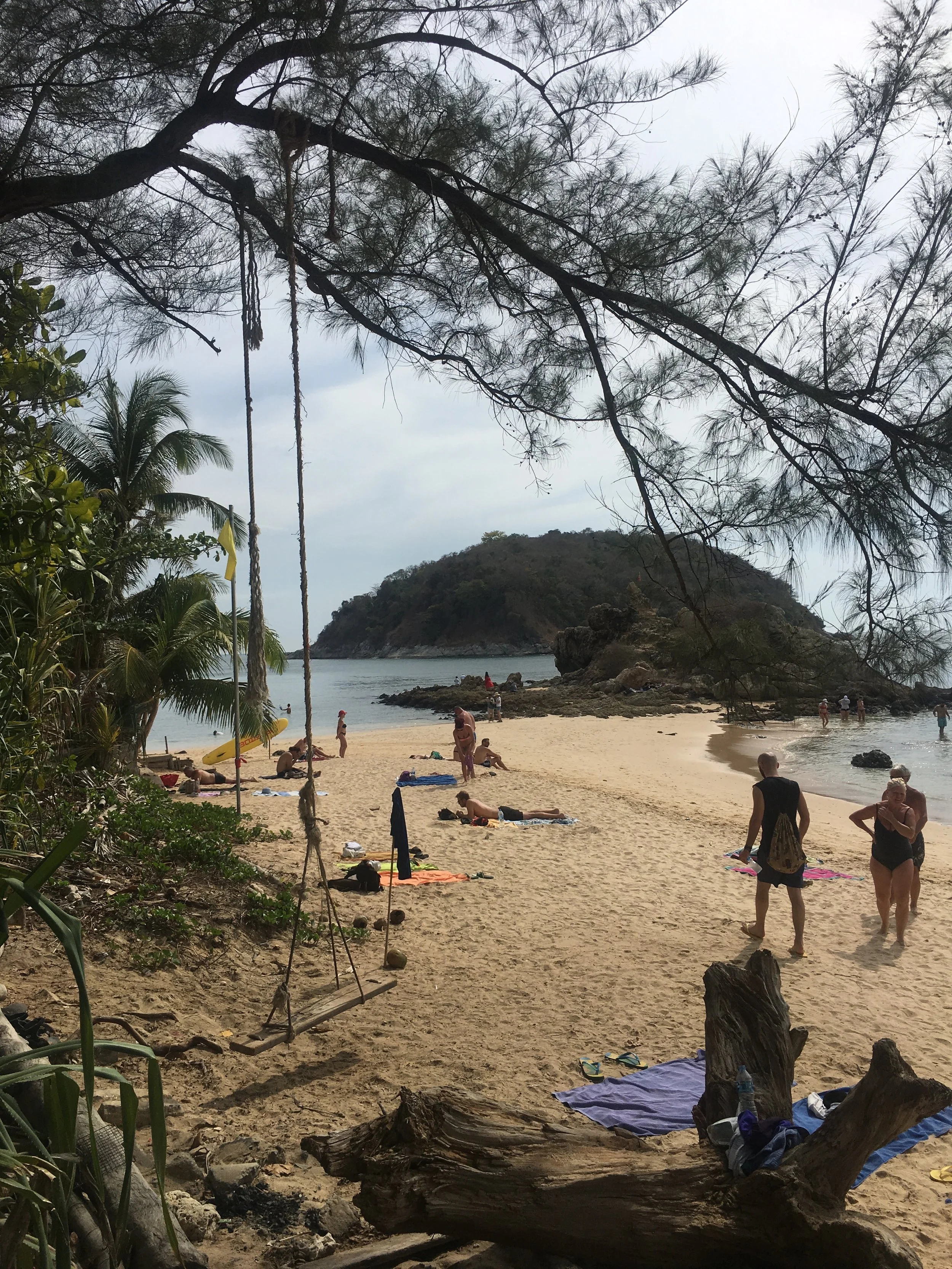 IMG_2515.jpeg