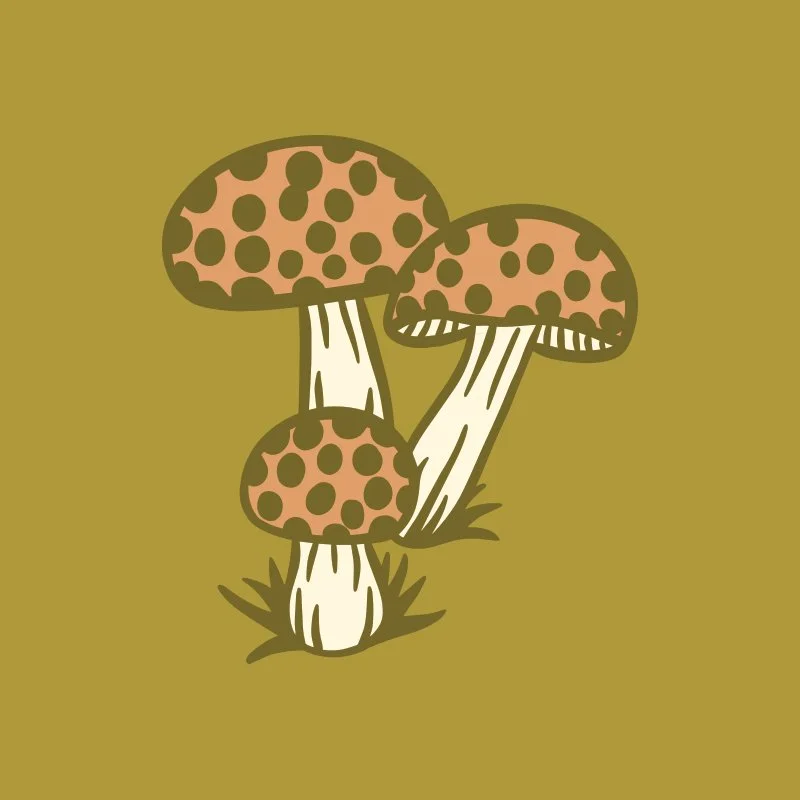 Maxine Sferra mushroom illustration