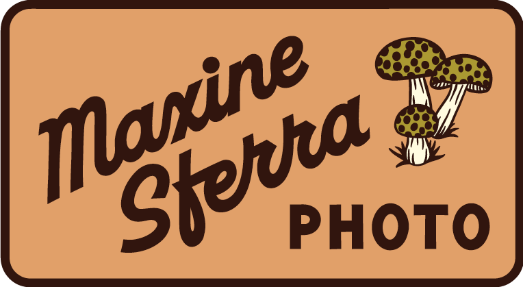 Maxine Sferra mushroom logo