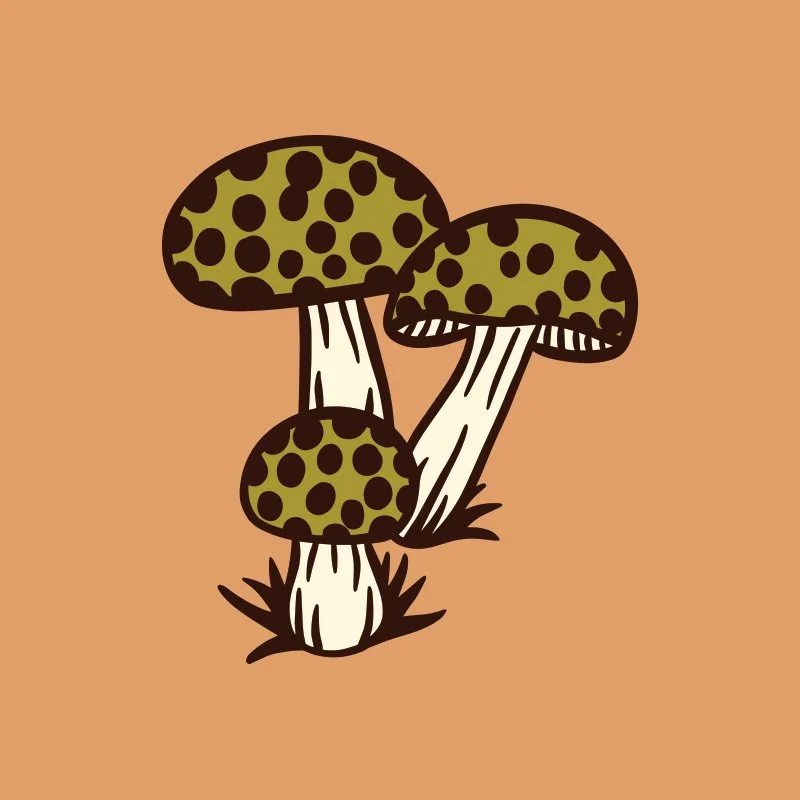Maxine Sferra mushroom illustration
