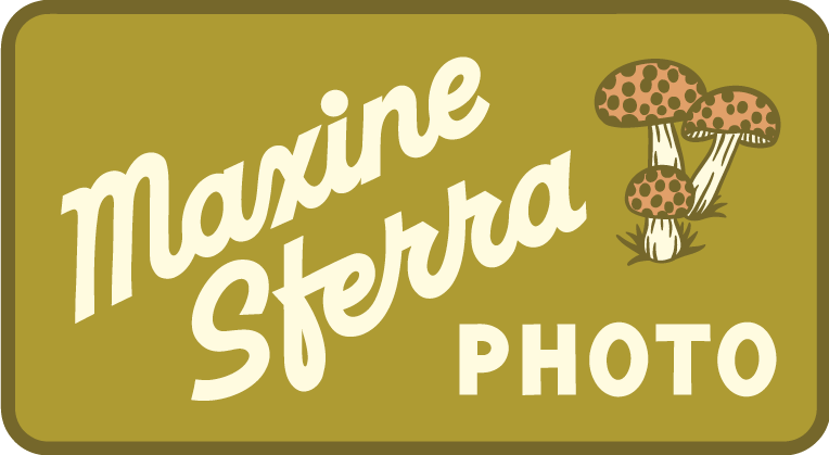 Maxine Sferra mushroom logo