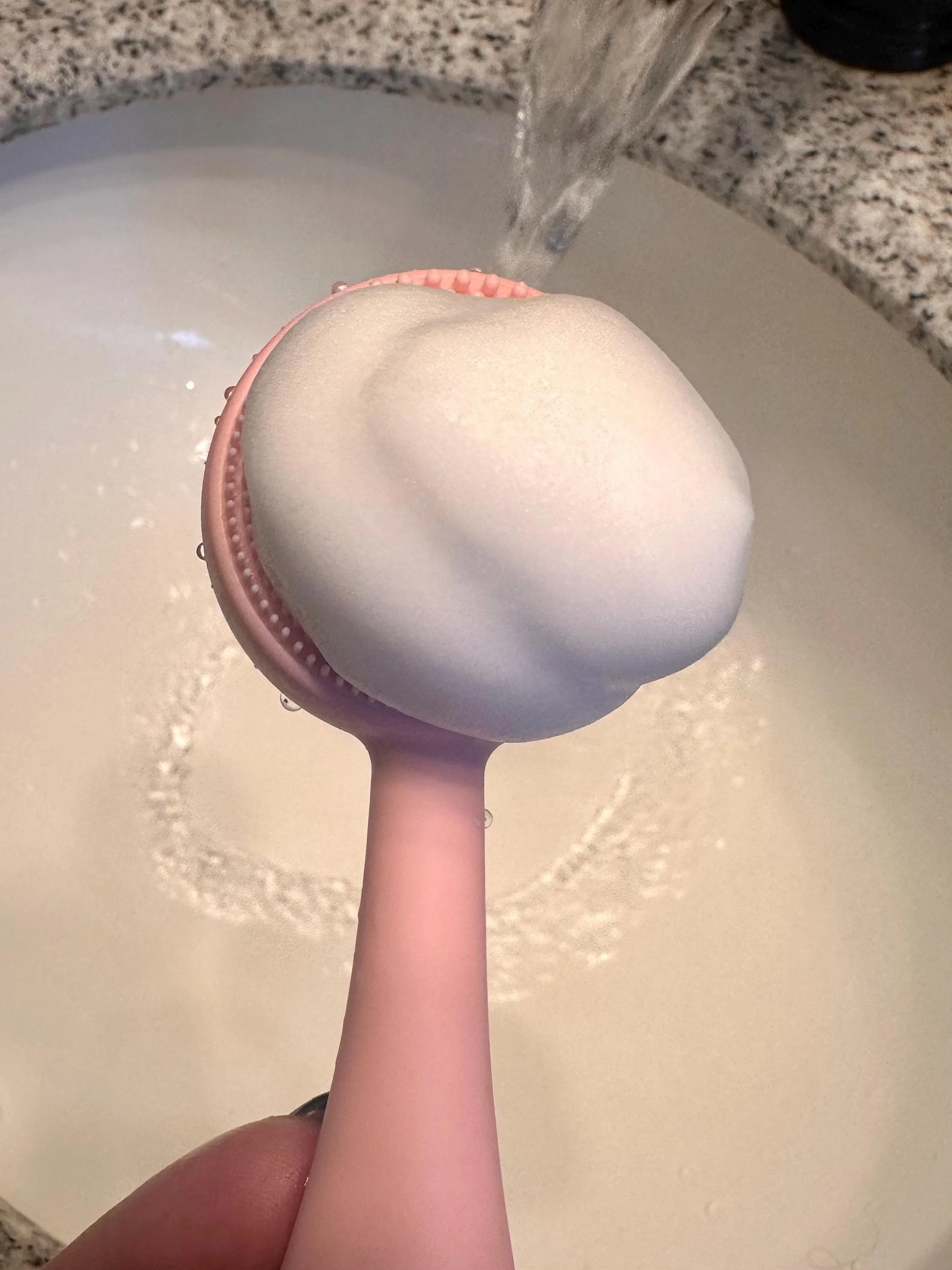 Foaming Rose Cleanser/Infused botanical cleanser/Brighten + Hydrate