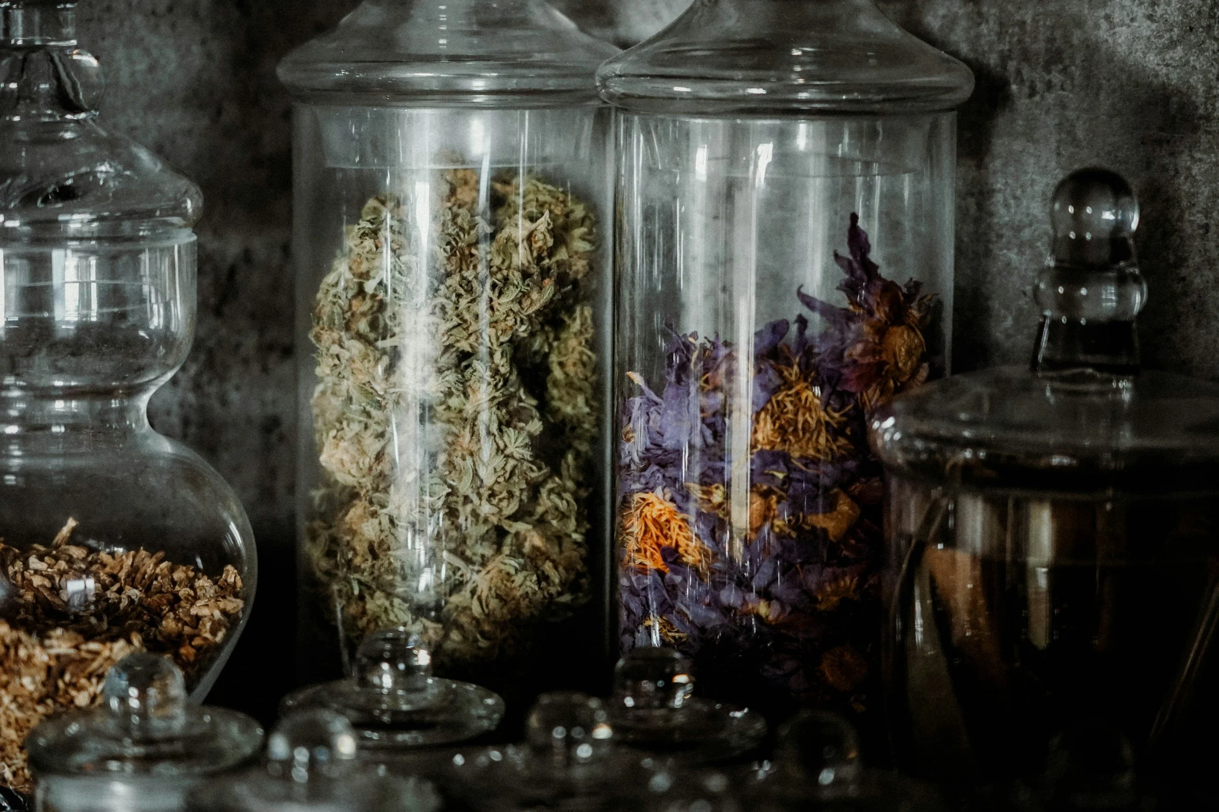 Three glass jars containing dried herbs and flowers, with smaller glass bottles surrounding them, set against a dark background.