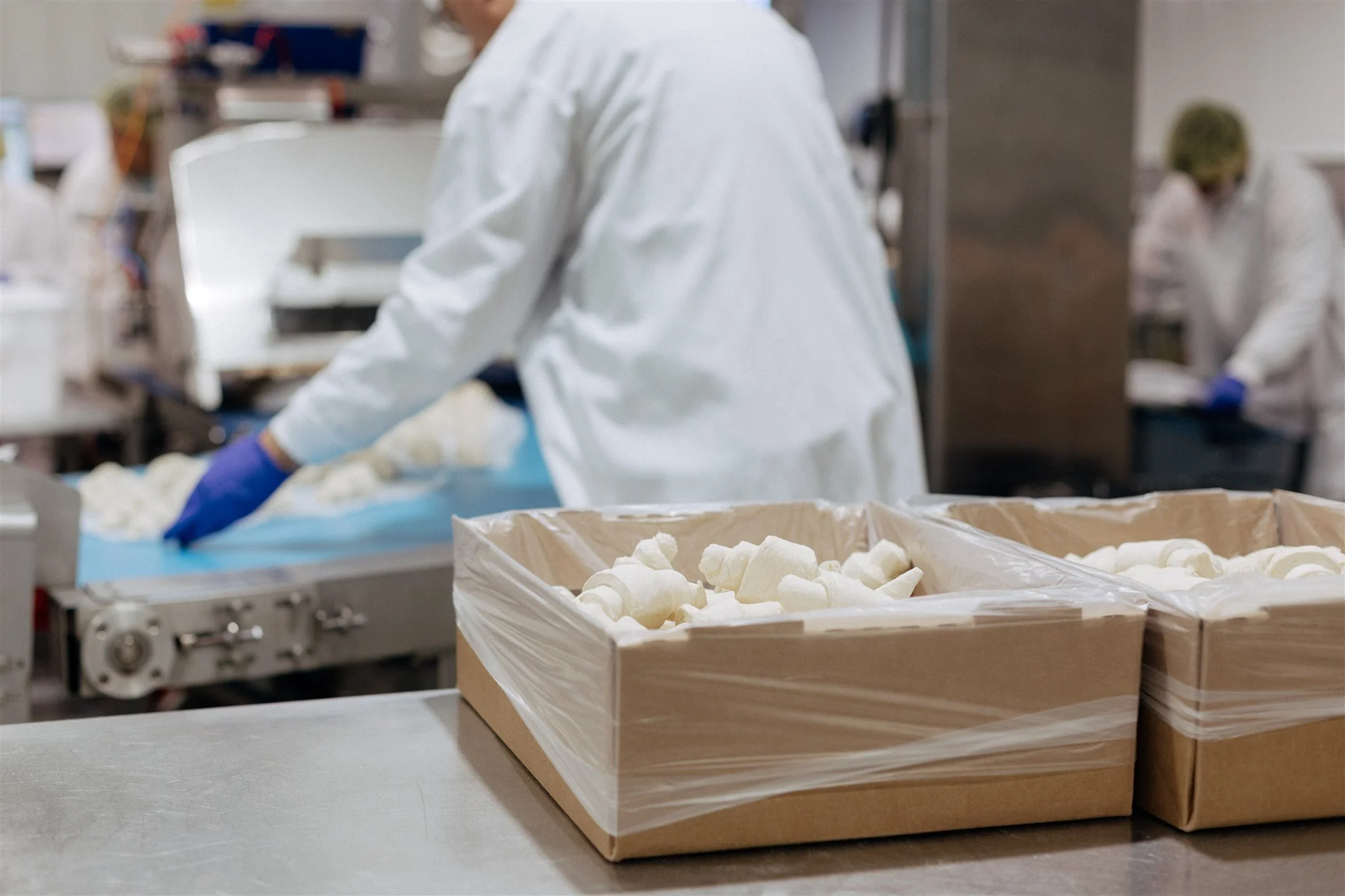 Croissants being produced in a BRC AA food safety rated facility