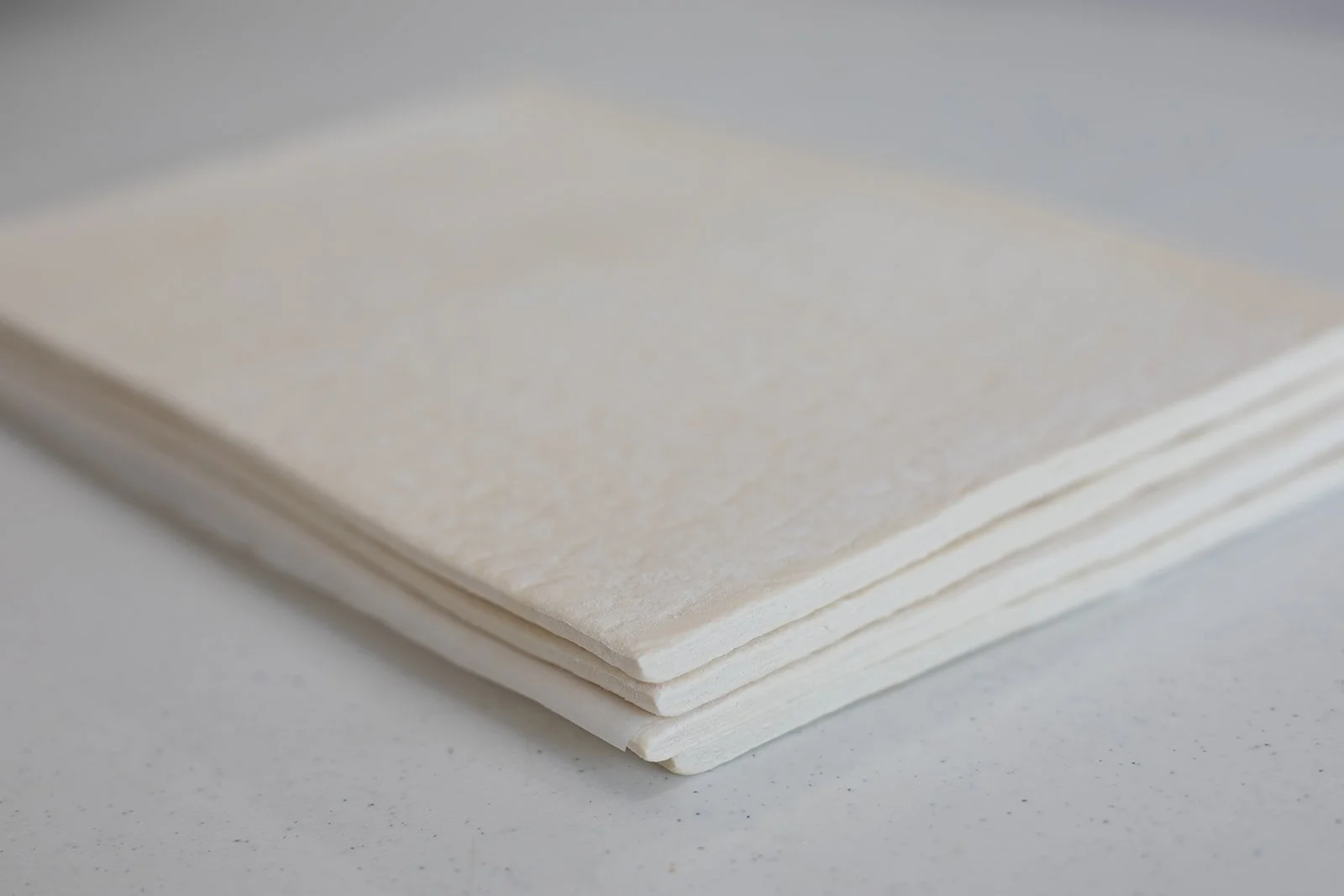 Dutchland Pics -40.jpg