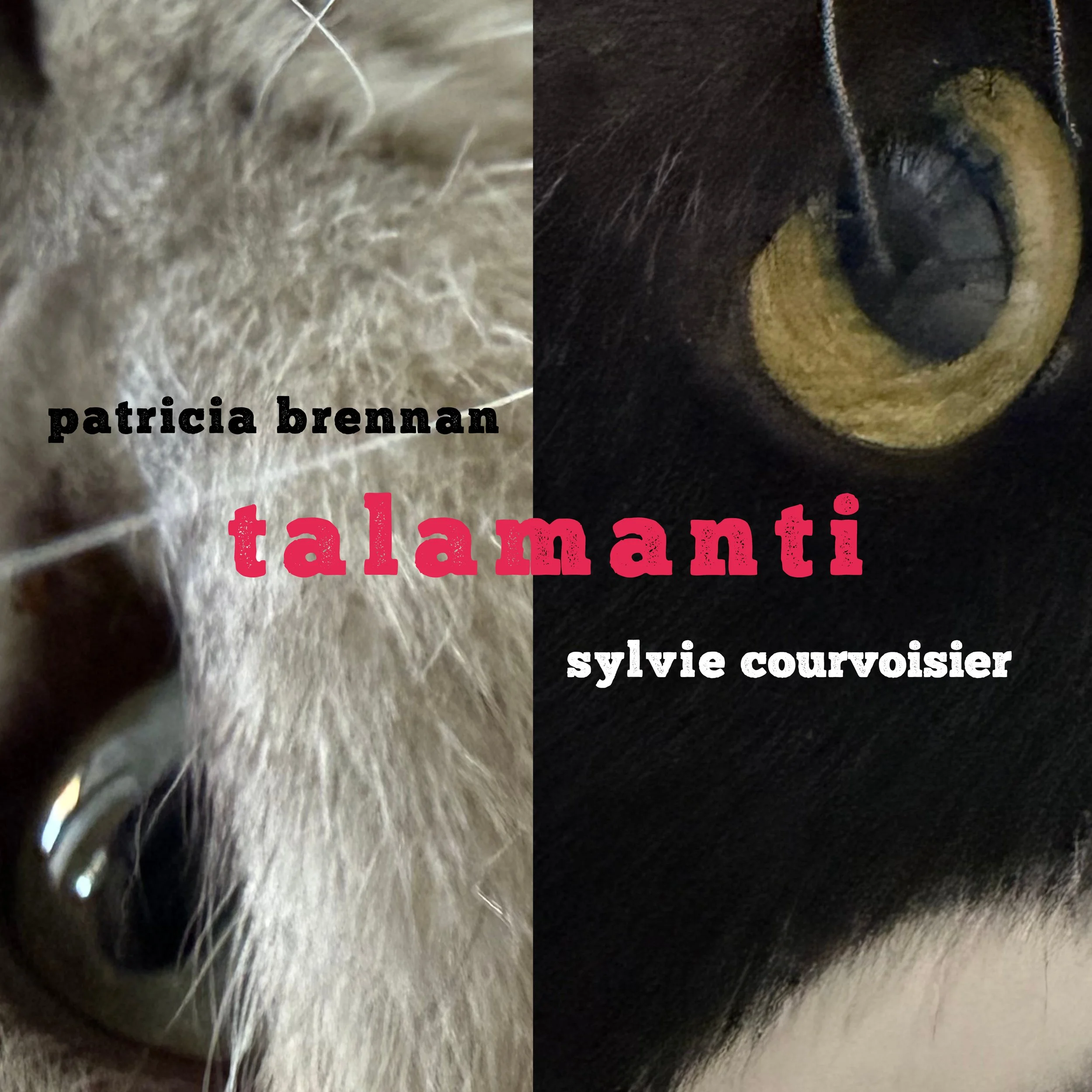 Talamanti Cover Square (1).jpg