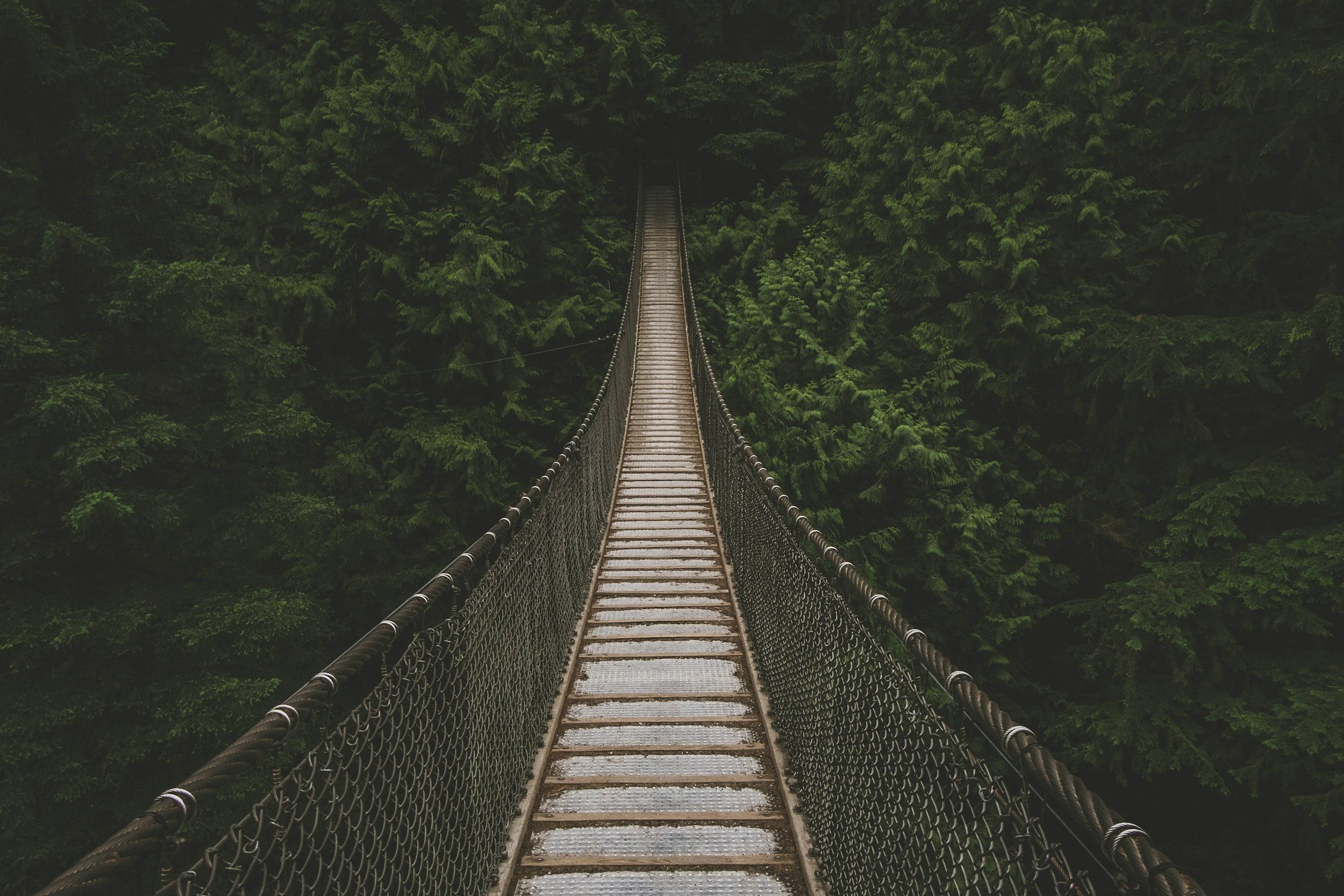 A suspension bridge in a dense green forest with tall trees and lush foliage.