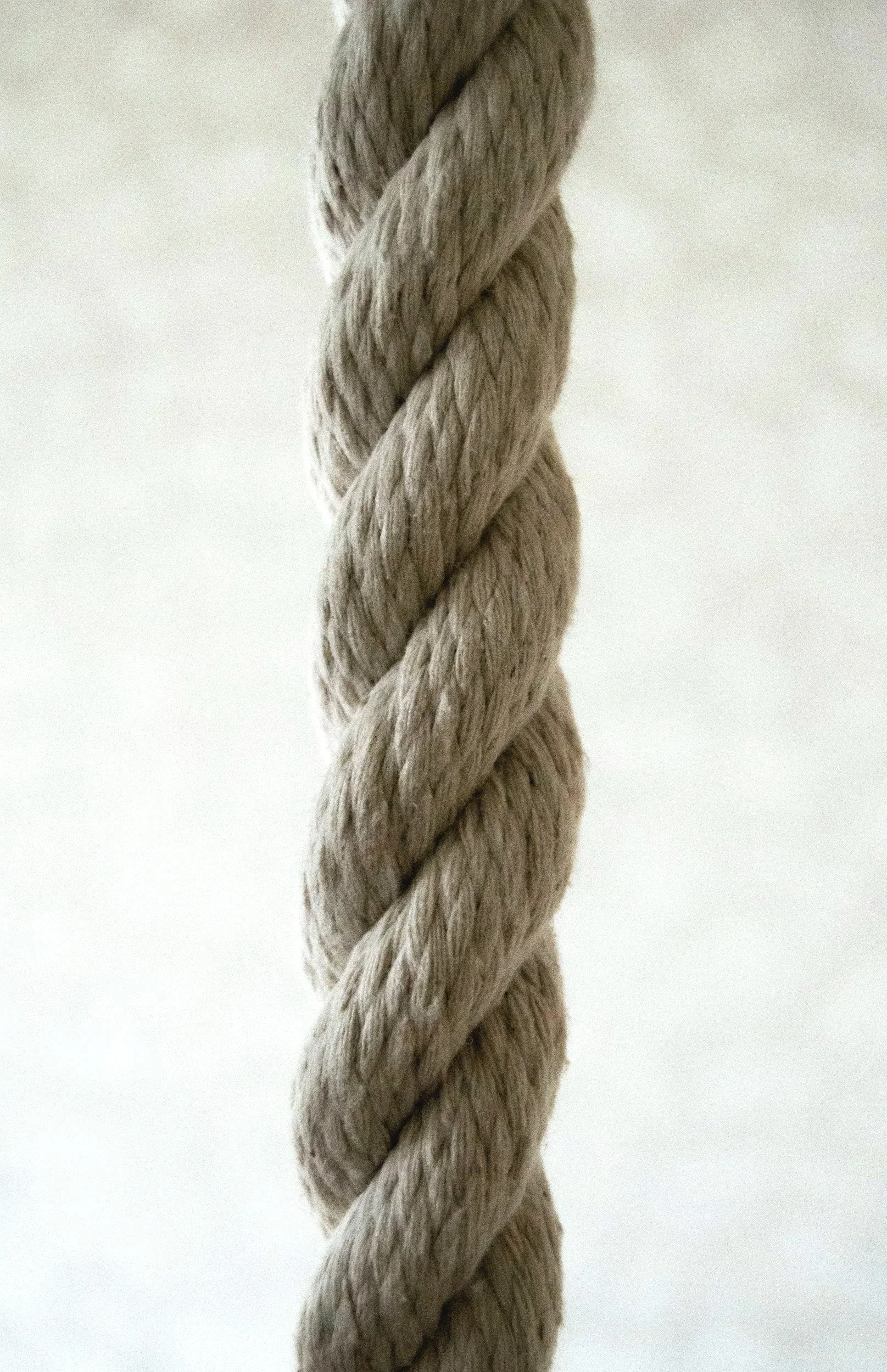 Close-up of a beige twisted rope against a white background.