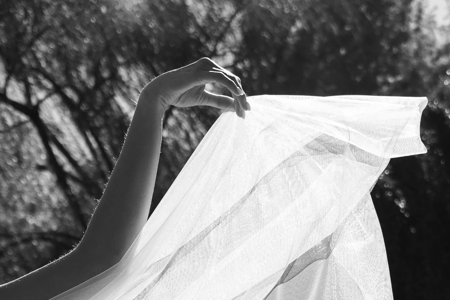 Arianna Jolie Photography