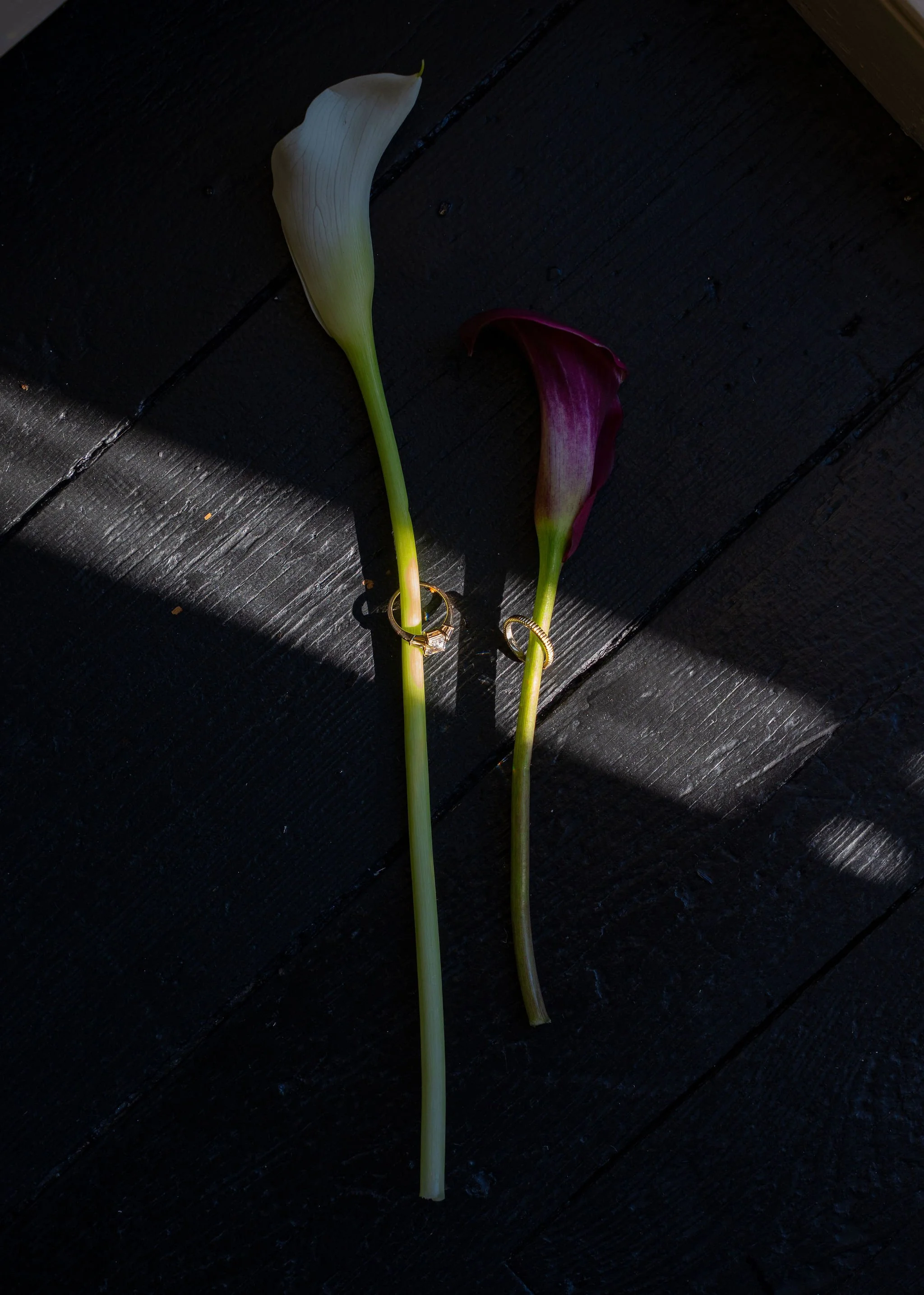 Arianna Jolie Photography