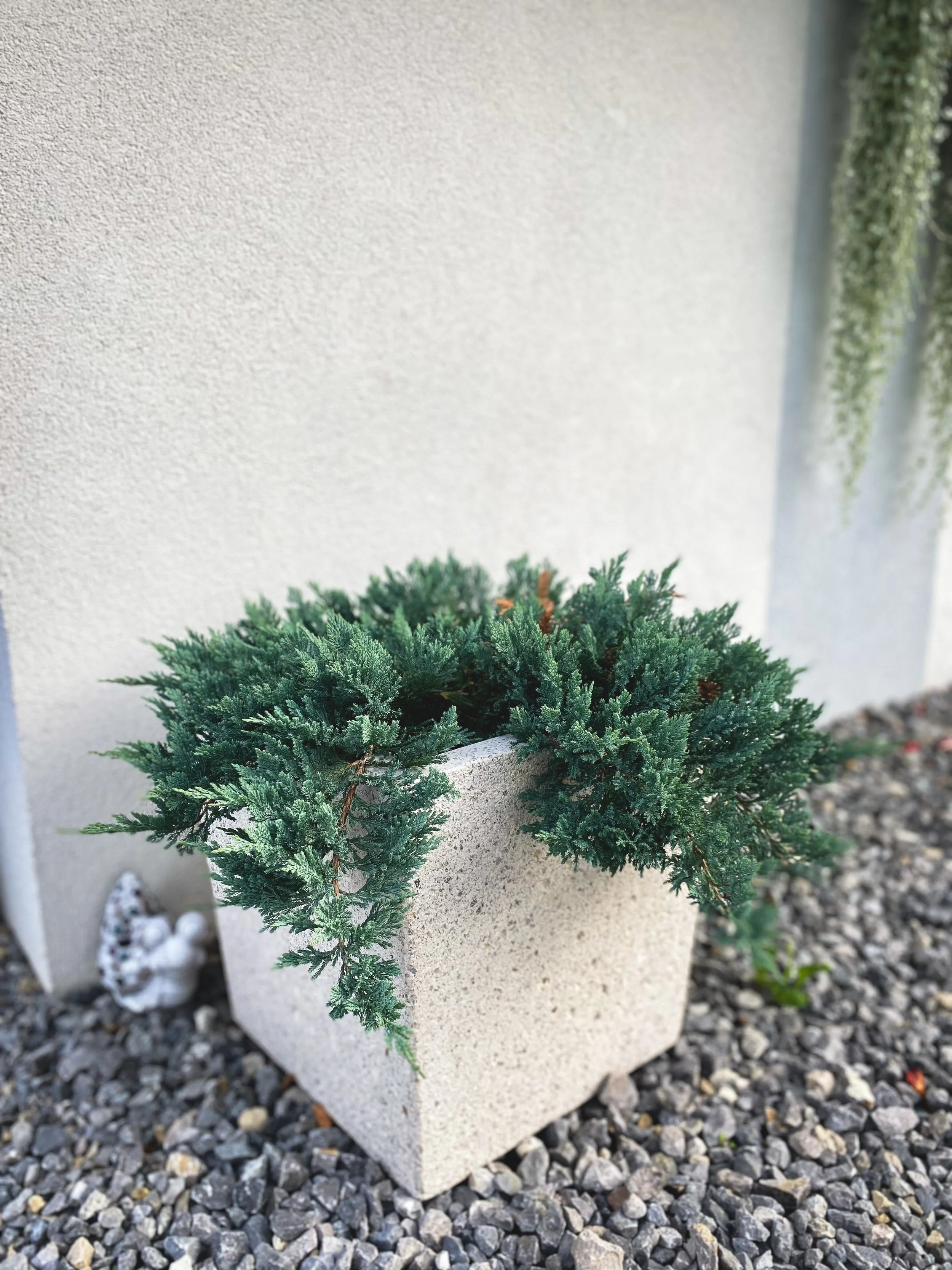 Korito - belo štokano