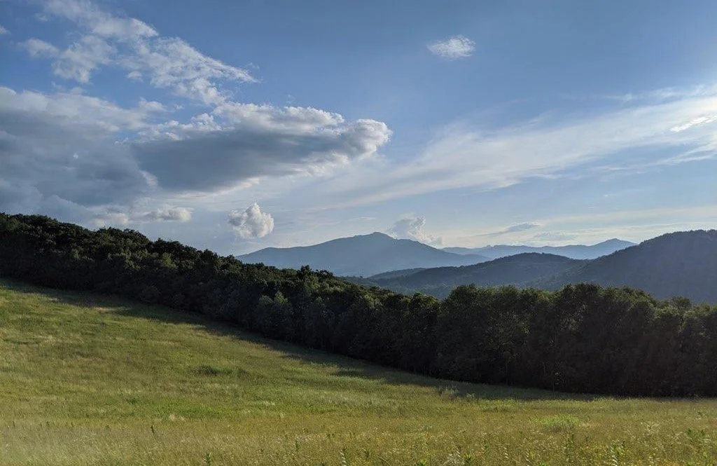 6b19667a-93d0-4ca0-b3fc-9b9638be2f70.jfif