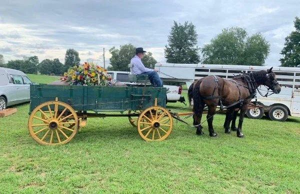 b1cd83ec-c091-43c8-8546-56fecf857095.jfif