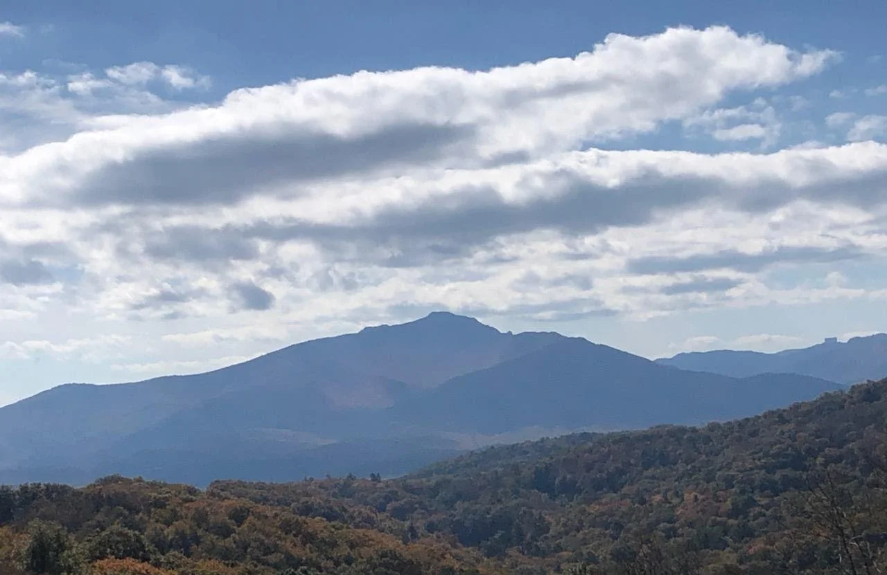 858465de-6082-4b4b-ab49-cd592806b180.jfif