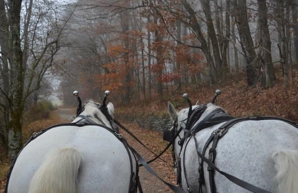 624f3837-8a1d-4a8e-a846-7572fa4f0dba.jfif